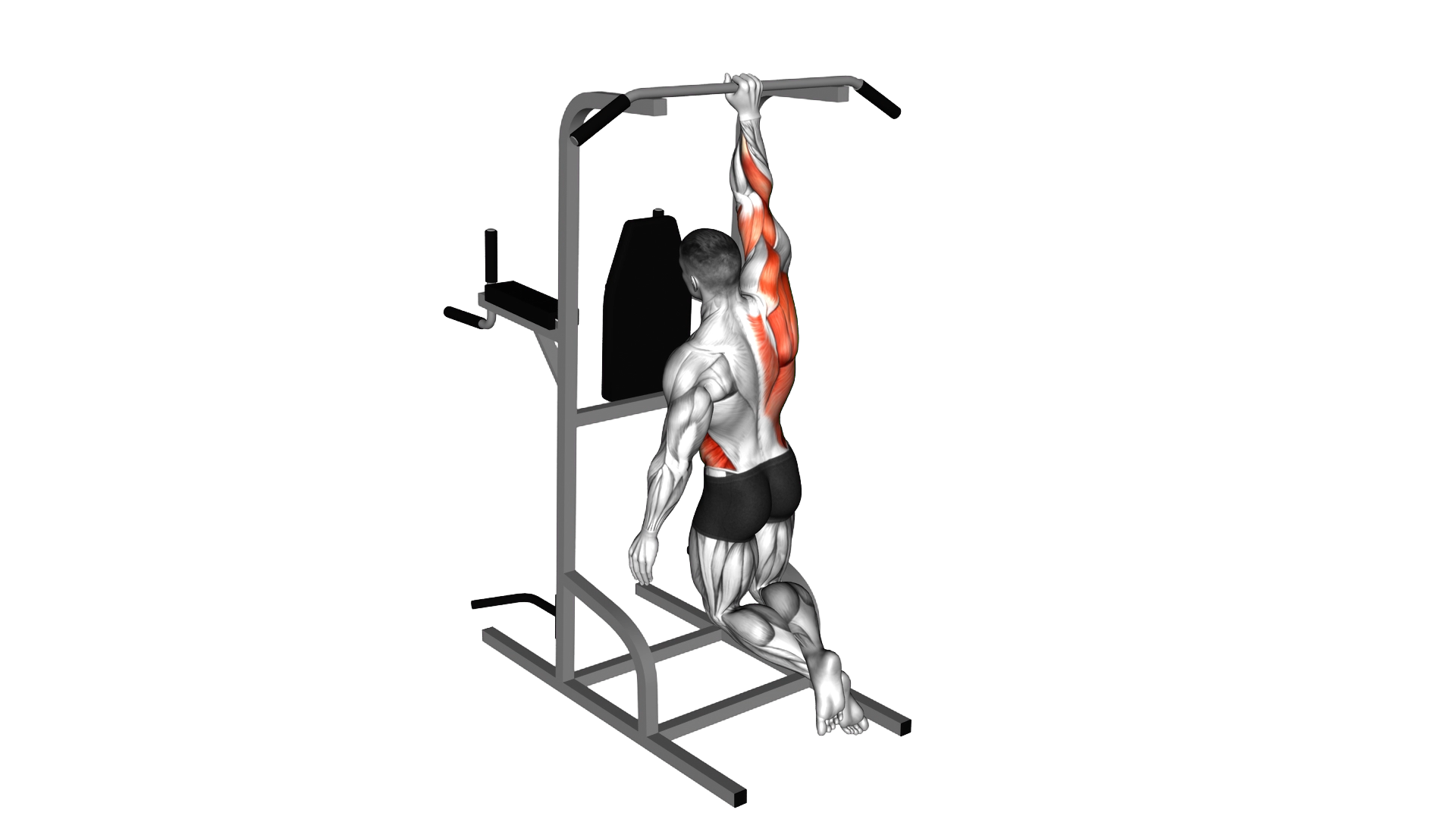 Single Arm Pull up exercise thumbnail