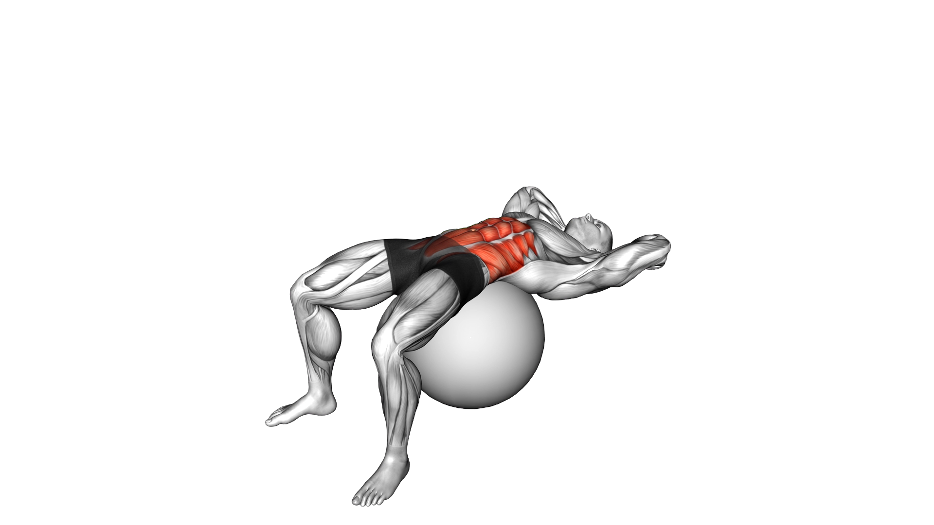 Sit up on stability ball exercise demonstration