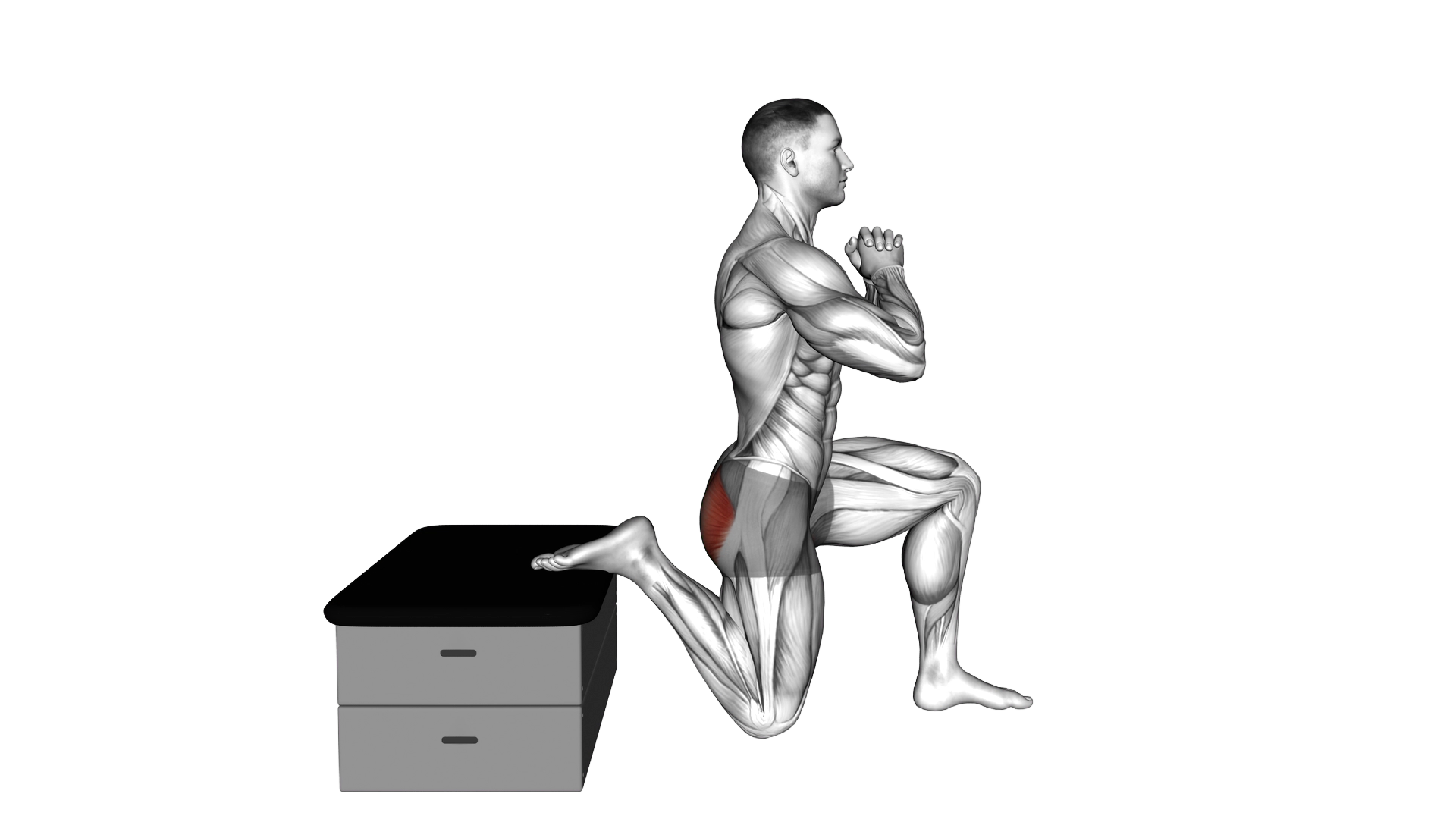 Half Kneeling Glute Stretch exercise thumbnail