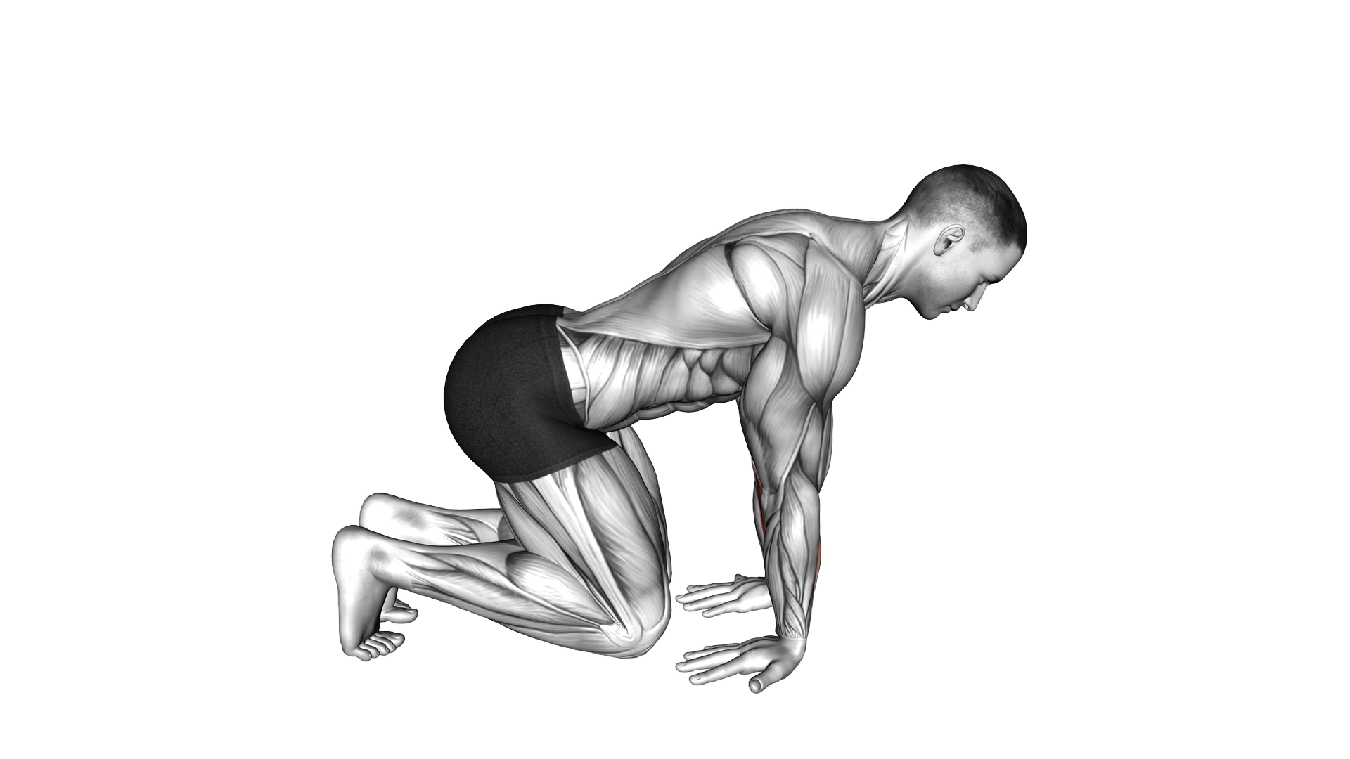 Kneeling Reverse Palm Nudges exercise demonstration