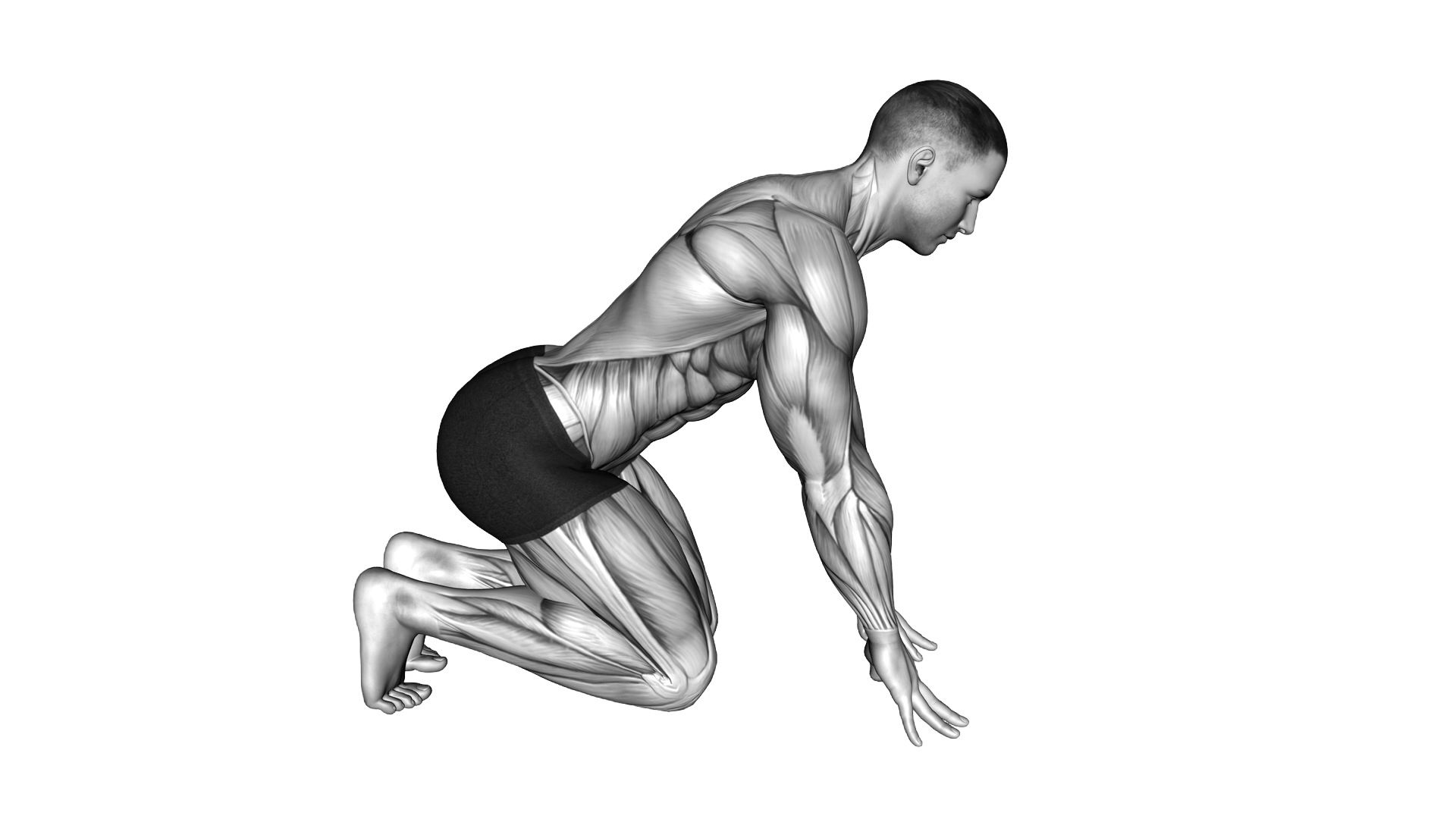 Kneeling Finger Pulse exercise demonstration