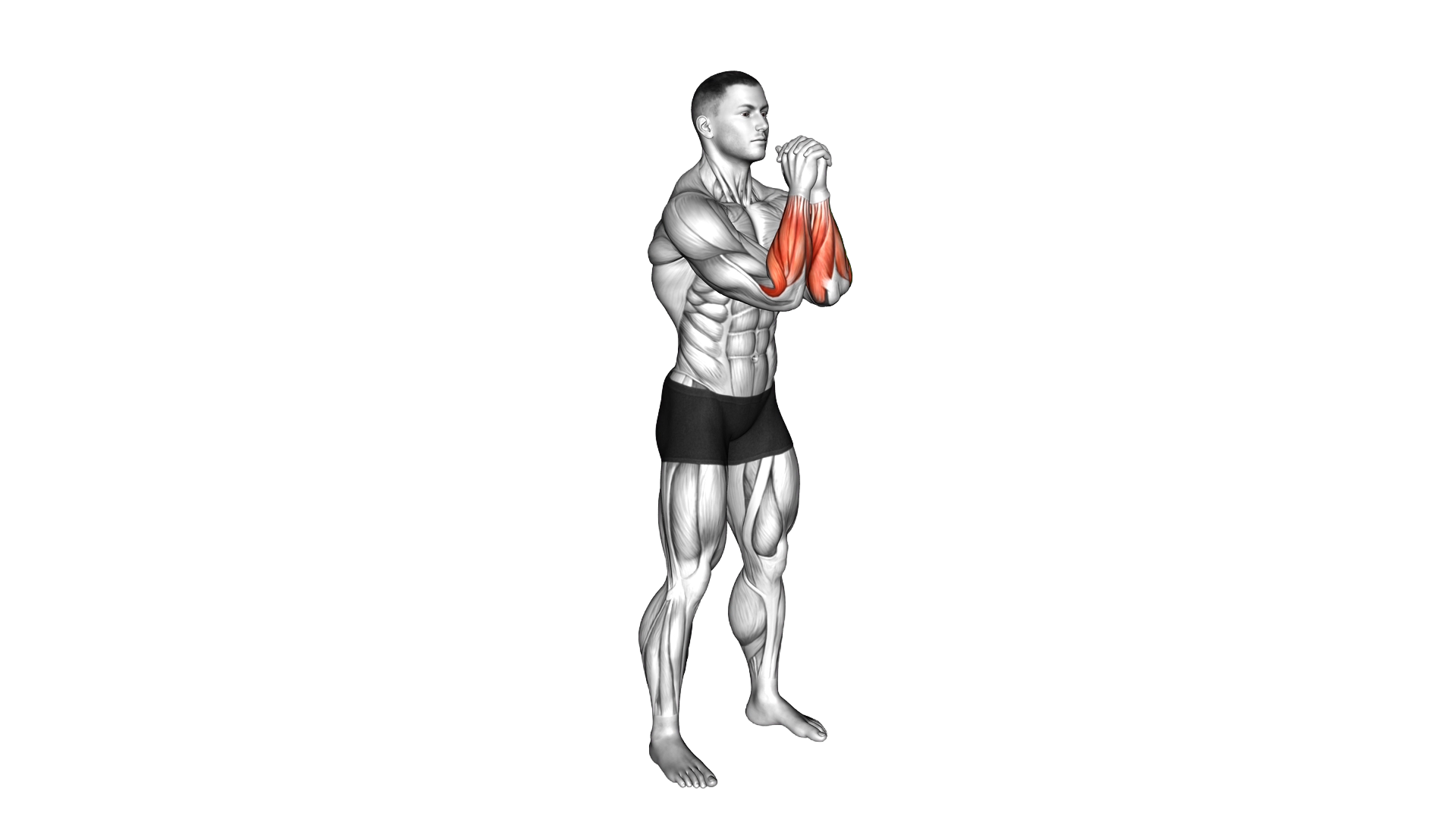 Standing Wrist Rotation exercise demonstration