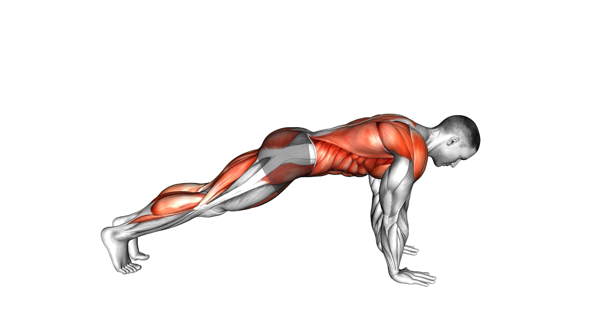 Plank Side Kick Through exercise demonstration