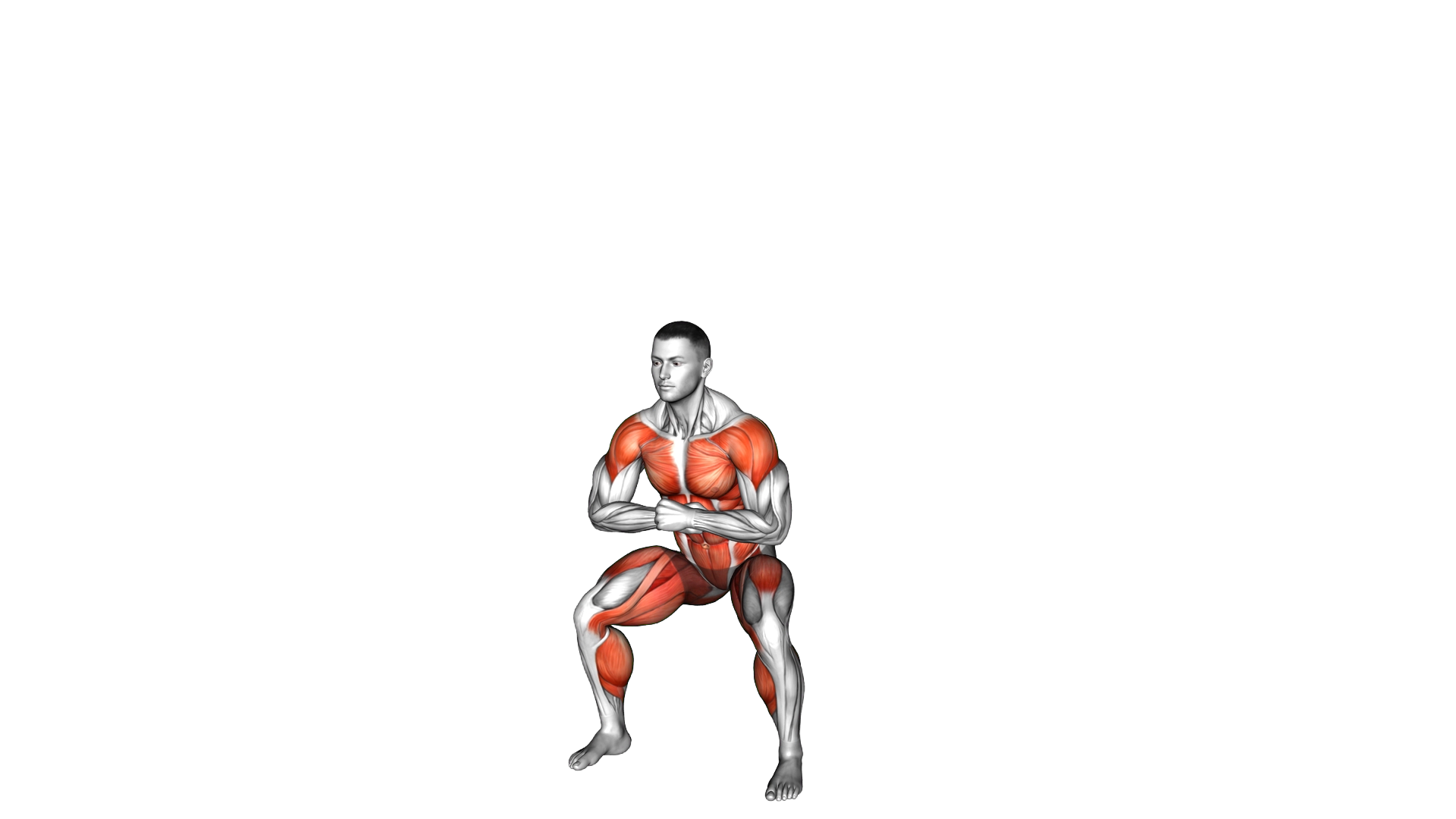 Power Jack exercise demonstration