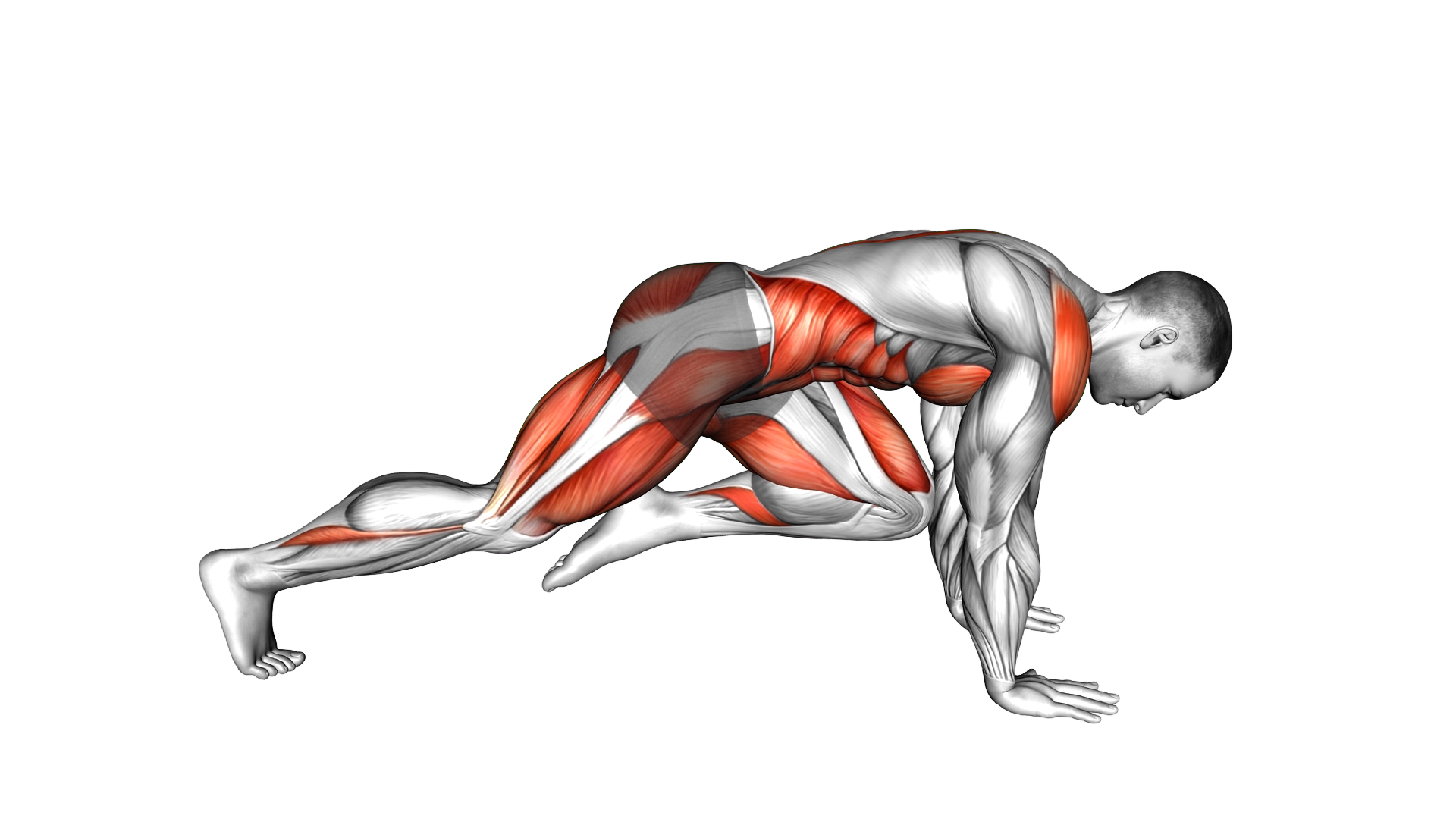 Running Plank exercise demonstration