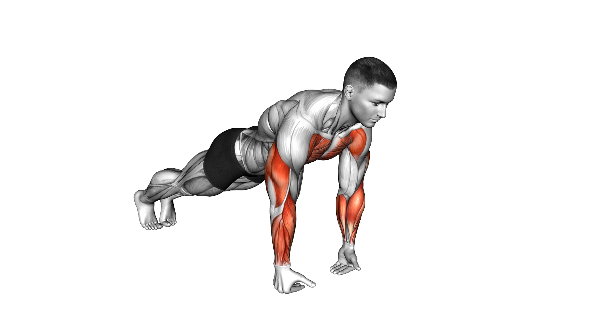 Wrist Full Push up exercise demonstration