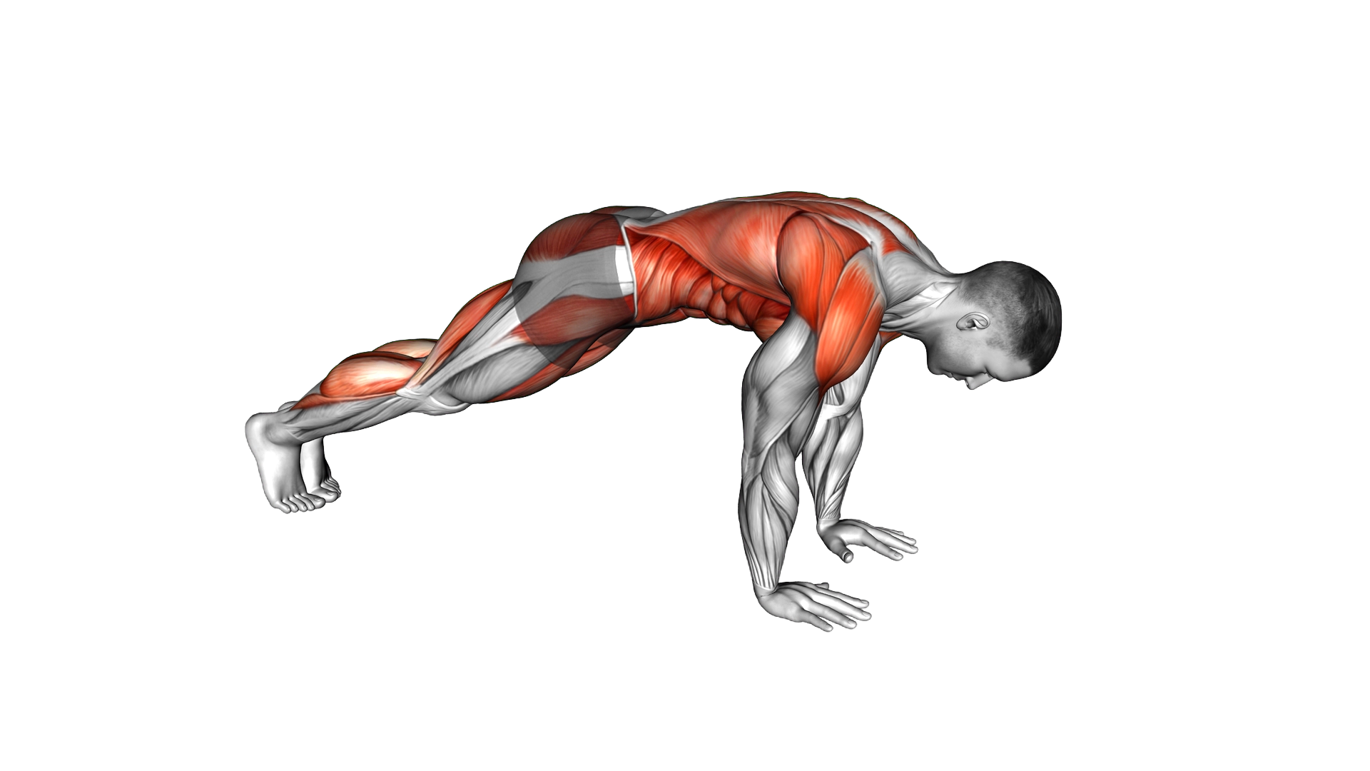 Plank 3 Point Hops exercise demonstration