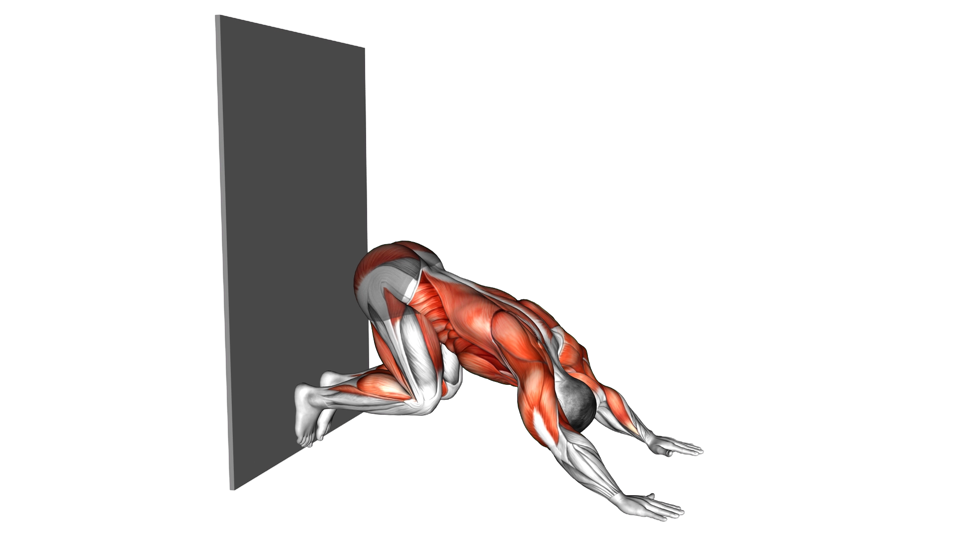 Downward Dog Push up against Wall exercise demonstration