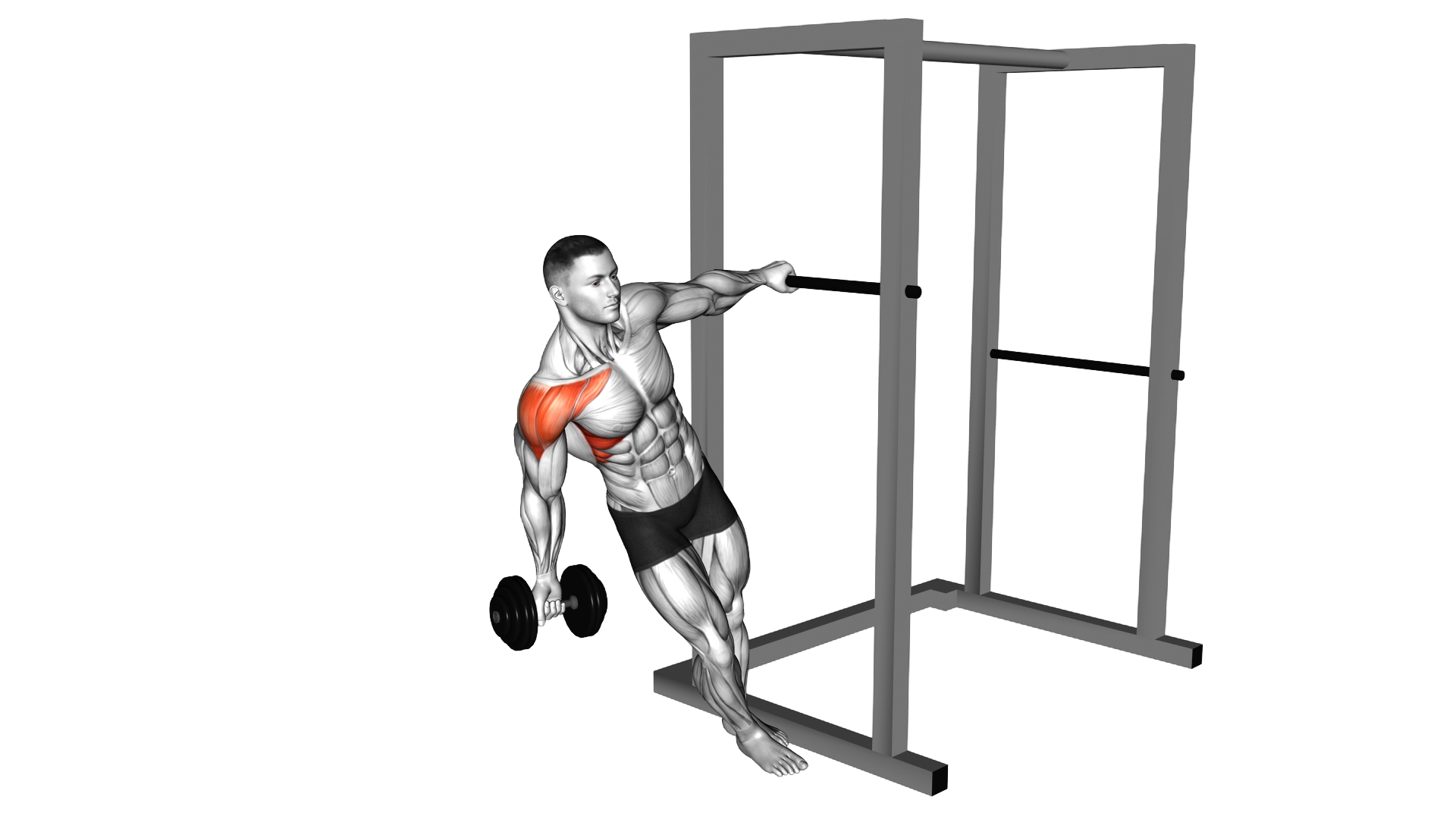 Dumbbell Learning Front Raise exercise demonstration