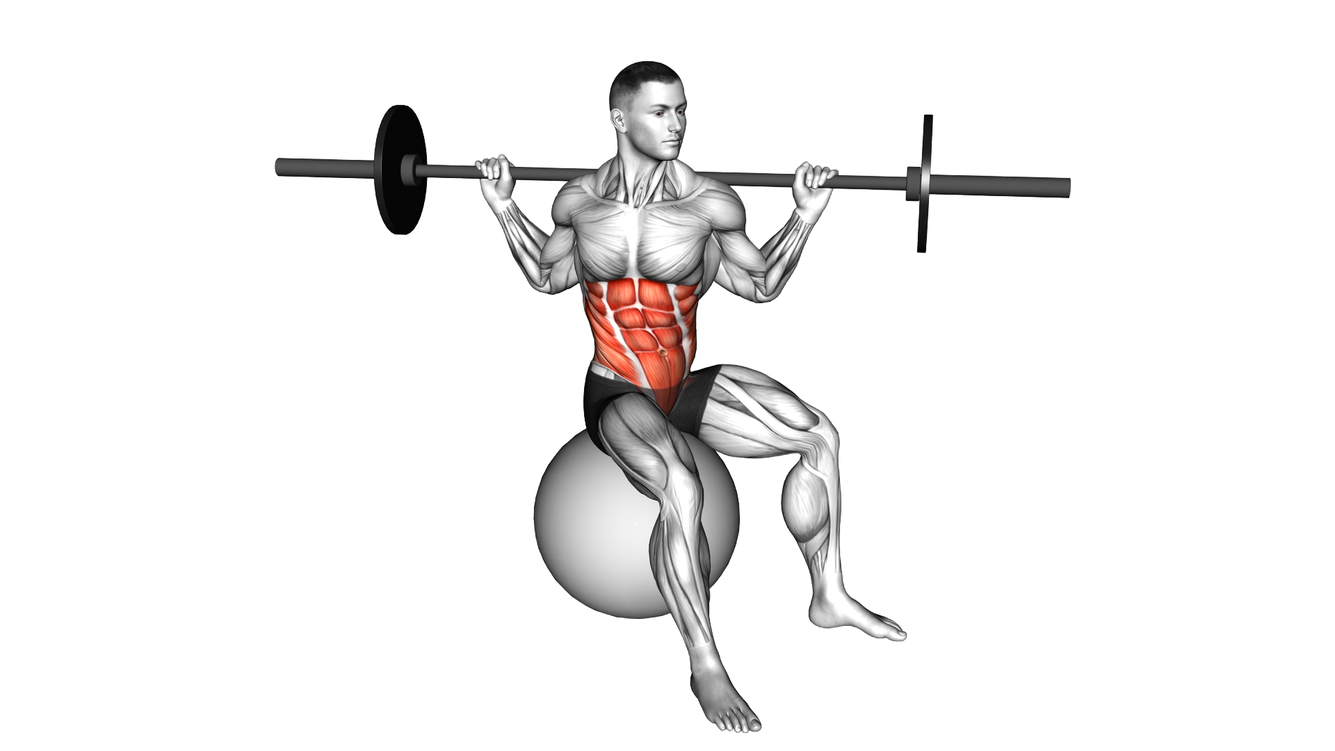Barbell Seated Twist (on stability ball) exercise demonstration