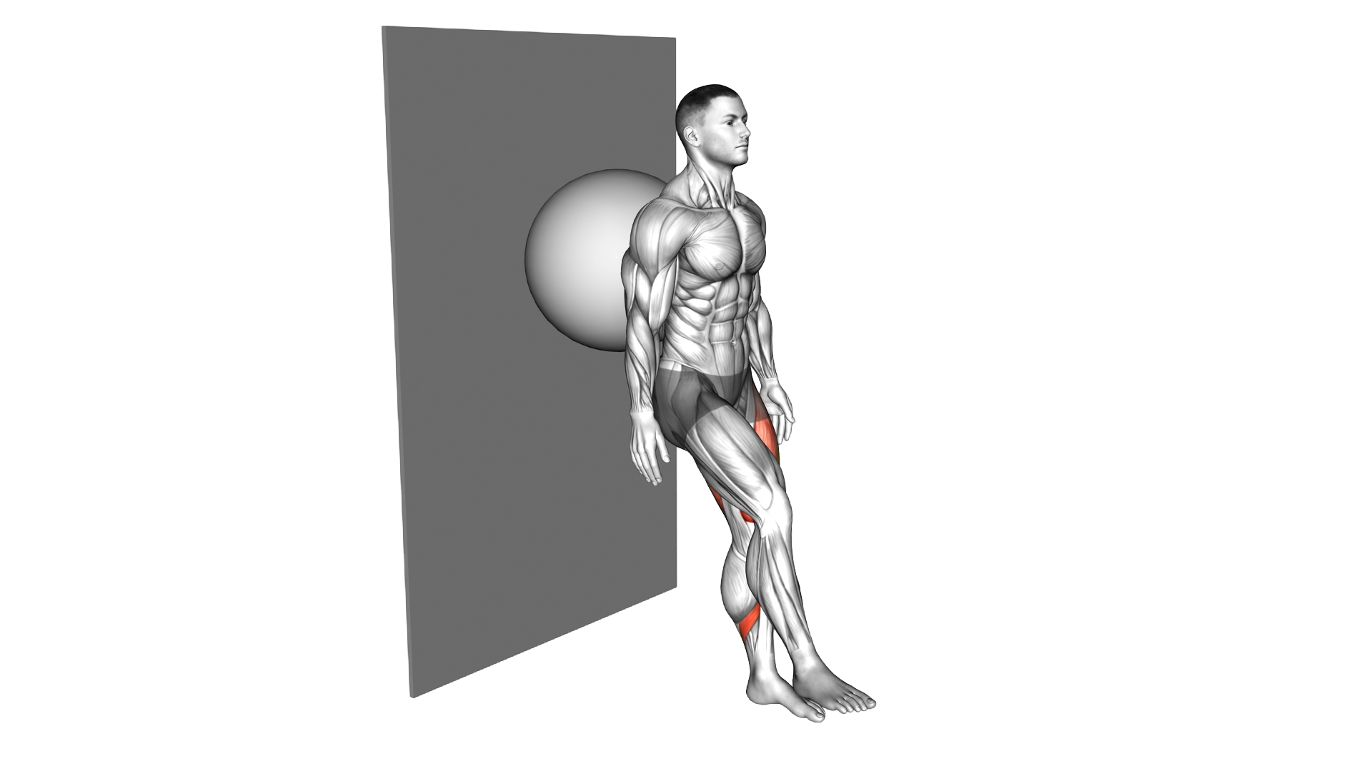 Stability Ball Single Leg Squat exercise demonstration