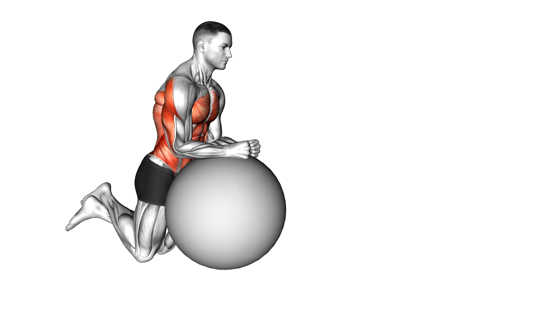 Stability Ball Rollout on Knees exercise demonstration