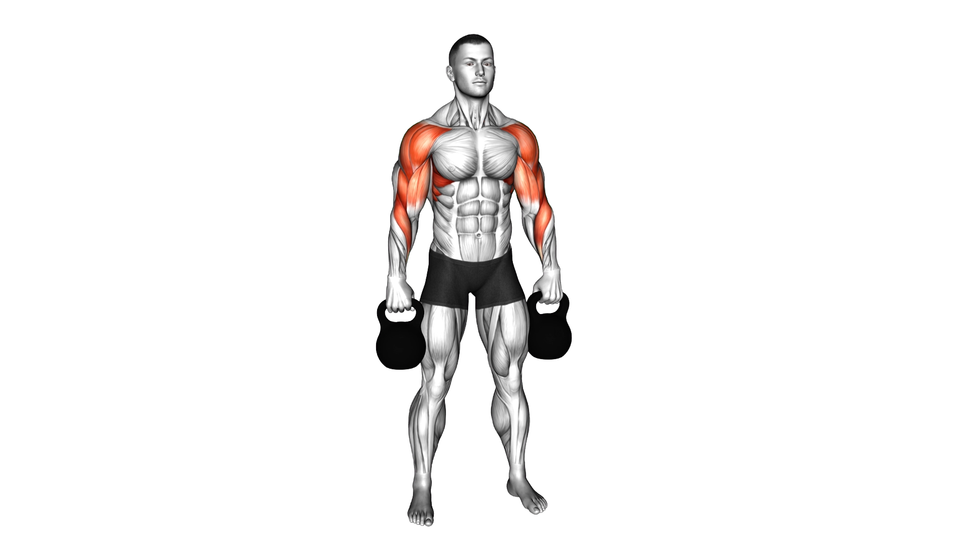Kettlebell Wide Upright Row exercise demonstration