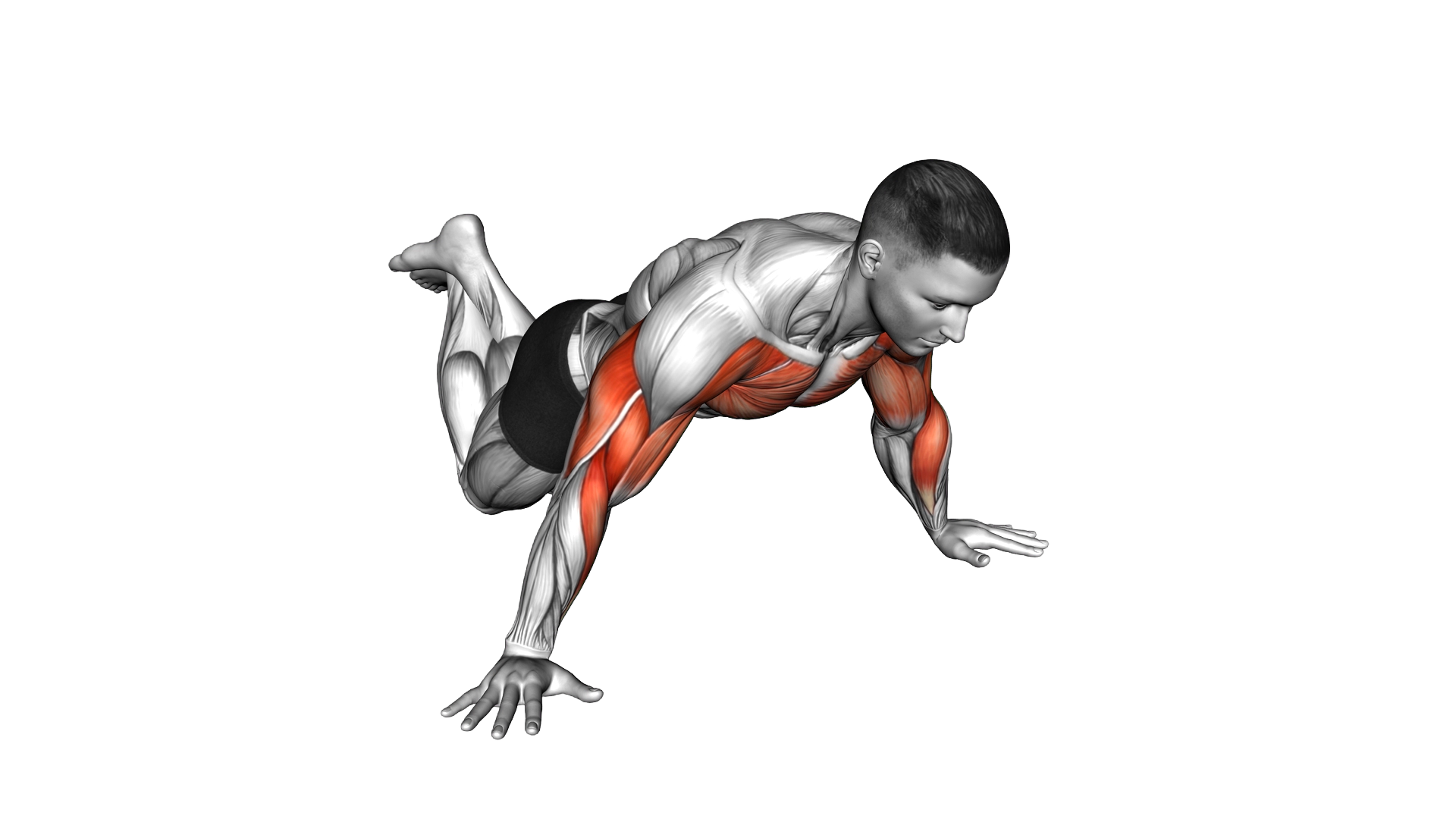 Kneeling One Side Archer Push up exercise demonstration