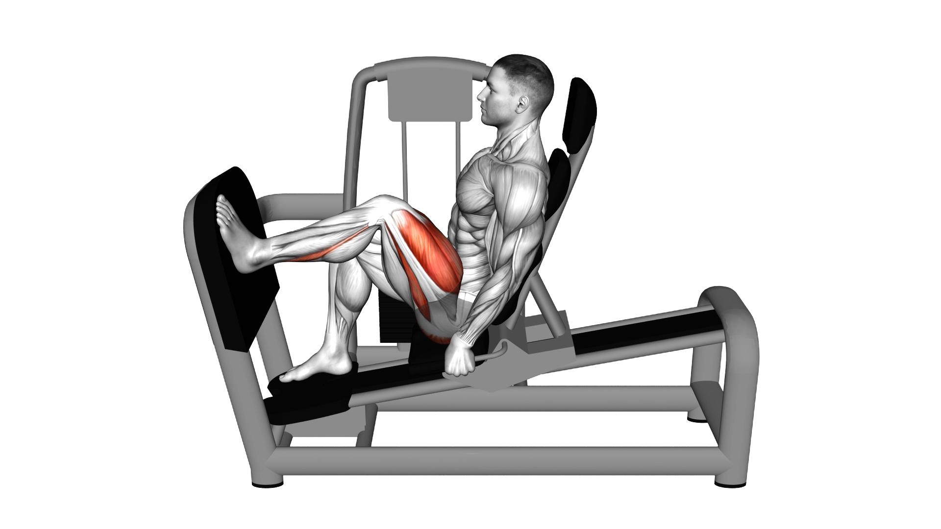Lever Seated Single Leg Press exercise demonstration