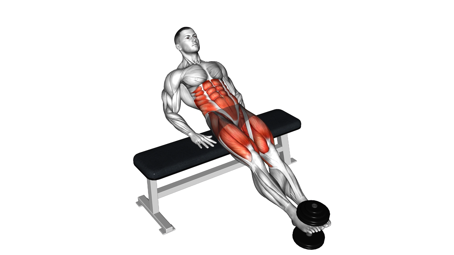 Weighted Twisting Crunch (on bench) exercise demonstration