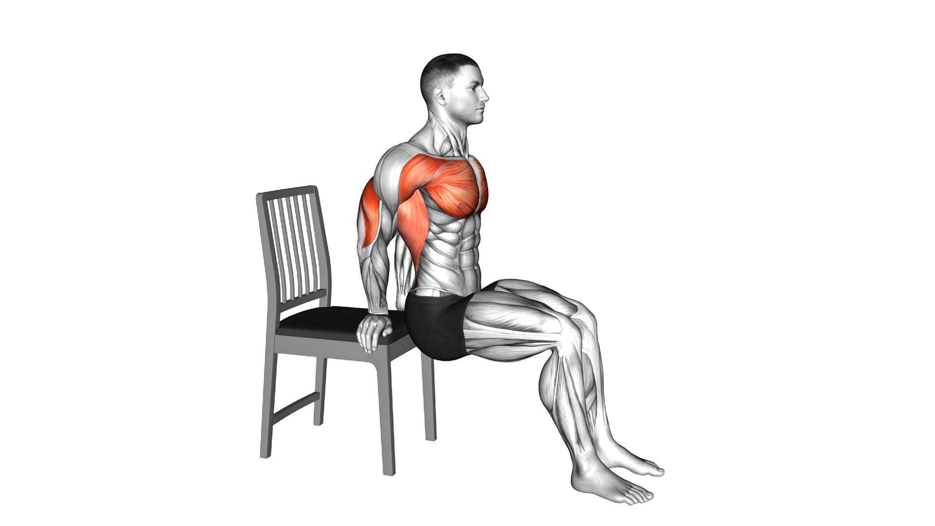 Dip Bent Knees with Chair exercise thumbnail