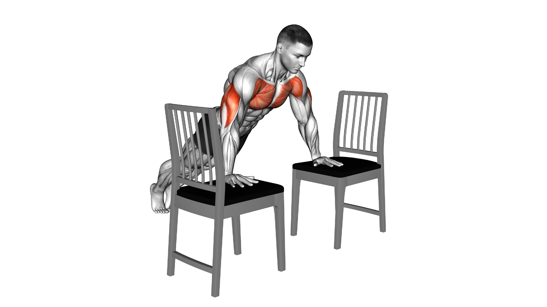 Incline Push up with Chair exercise demonstration