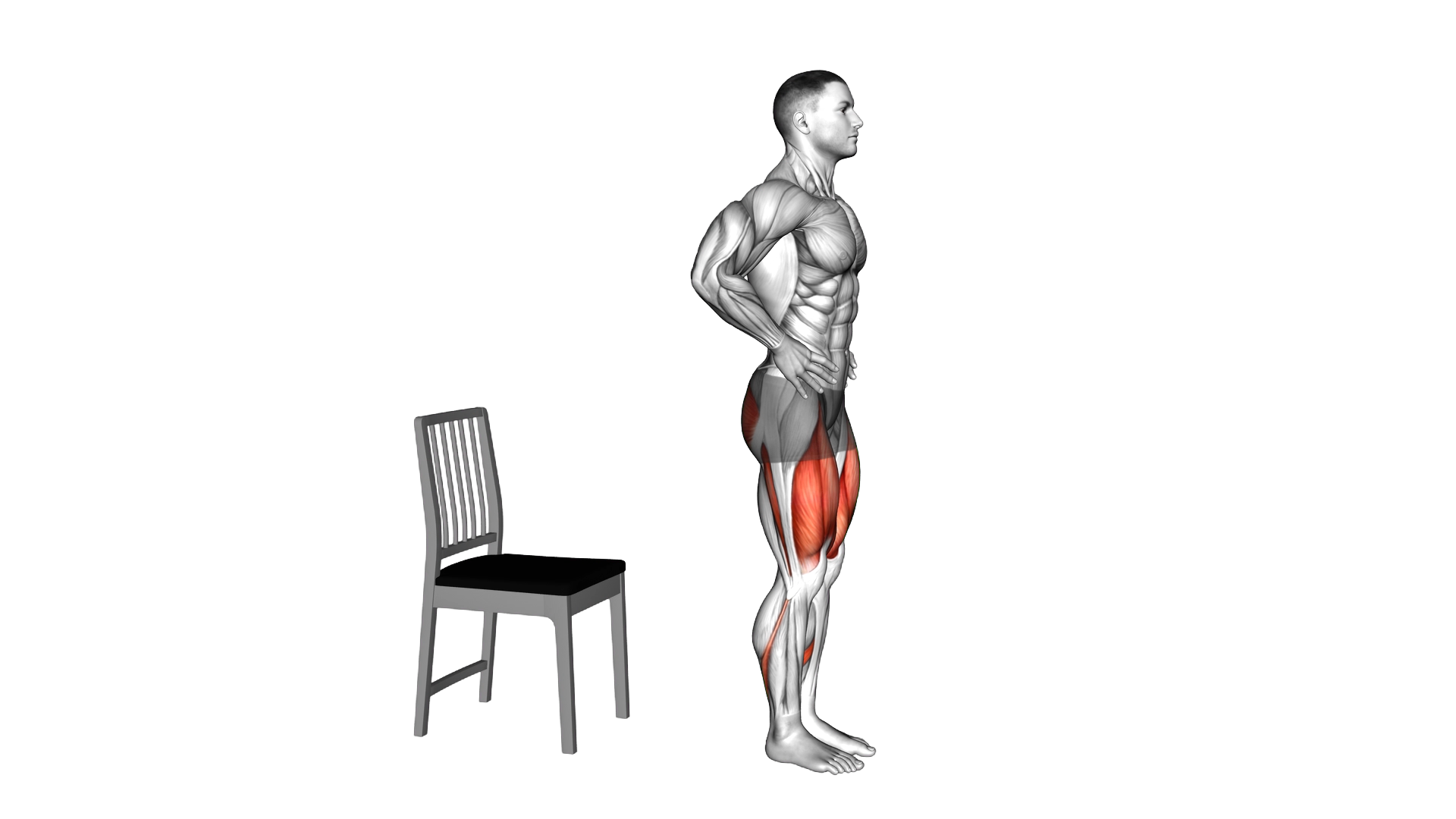 Bulgarian Split Squat with Chair exercise demonstration