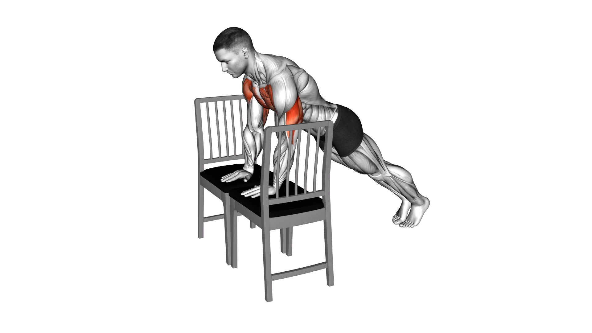 Incline Close Grip Push Up with Chair exercise demonstration