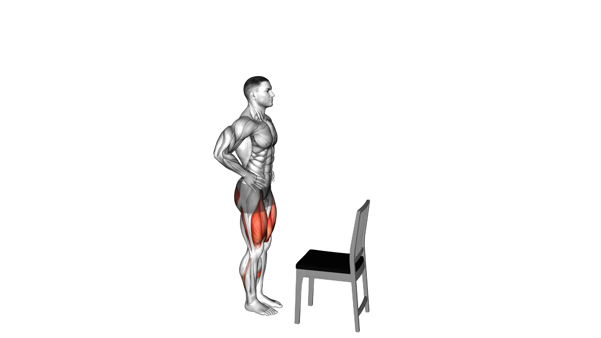 Step Up on Chair exercise demonstration