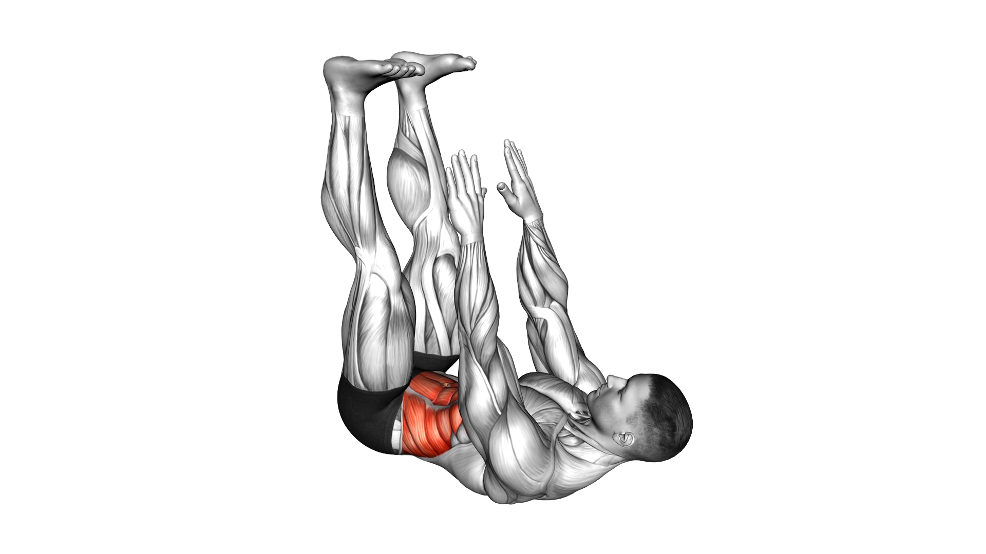 Lying Twist Toe Touch exercise demonstration
