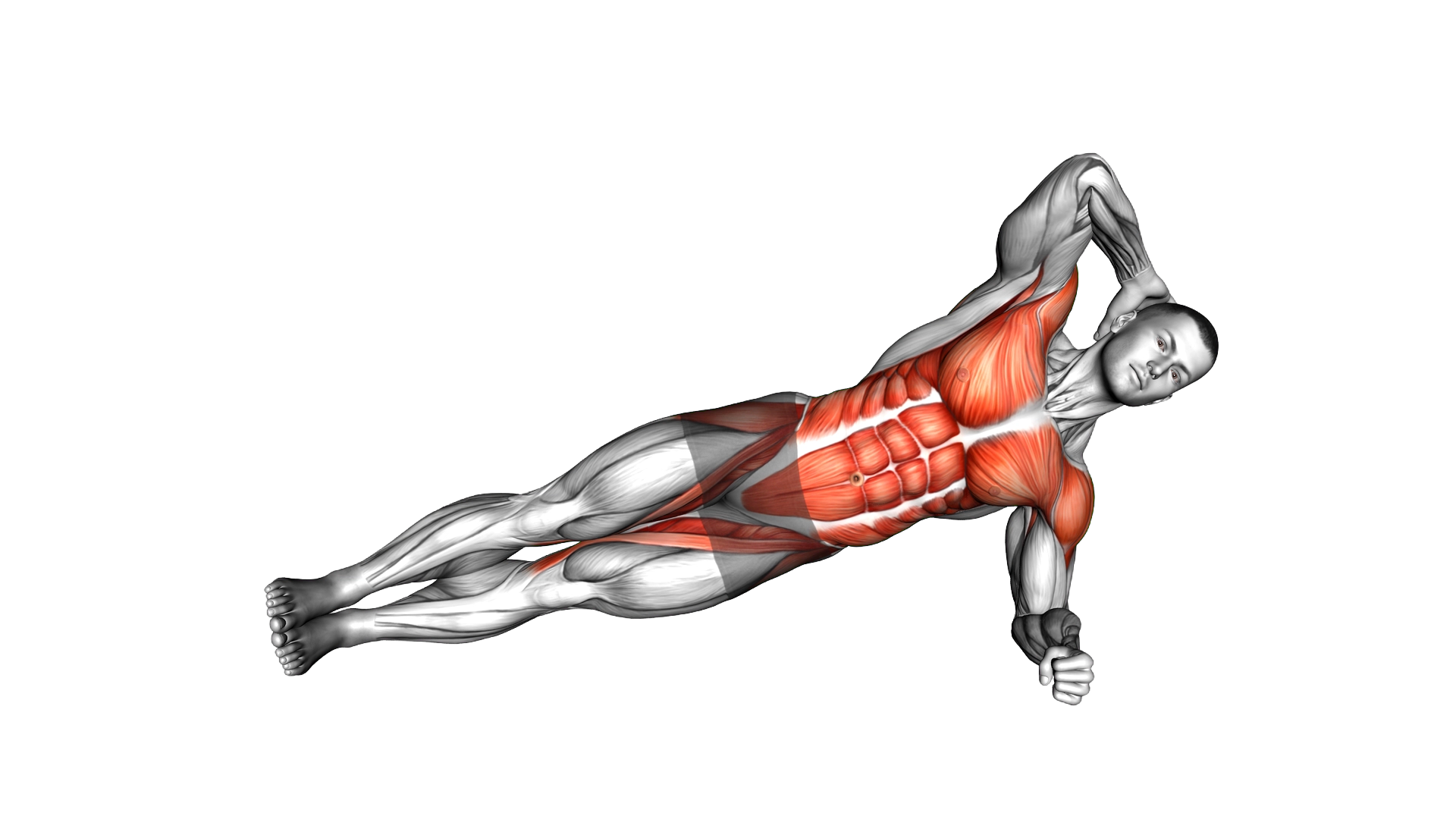 Side Plank Twist exercise demonstration