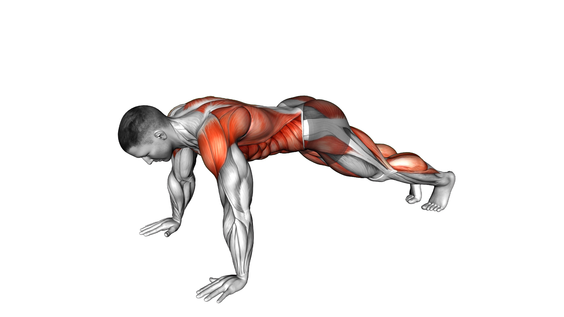 Diver Plank Jack exercise demonstration