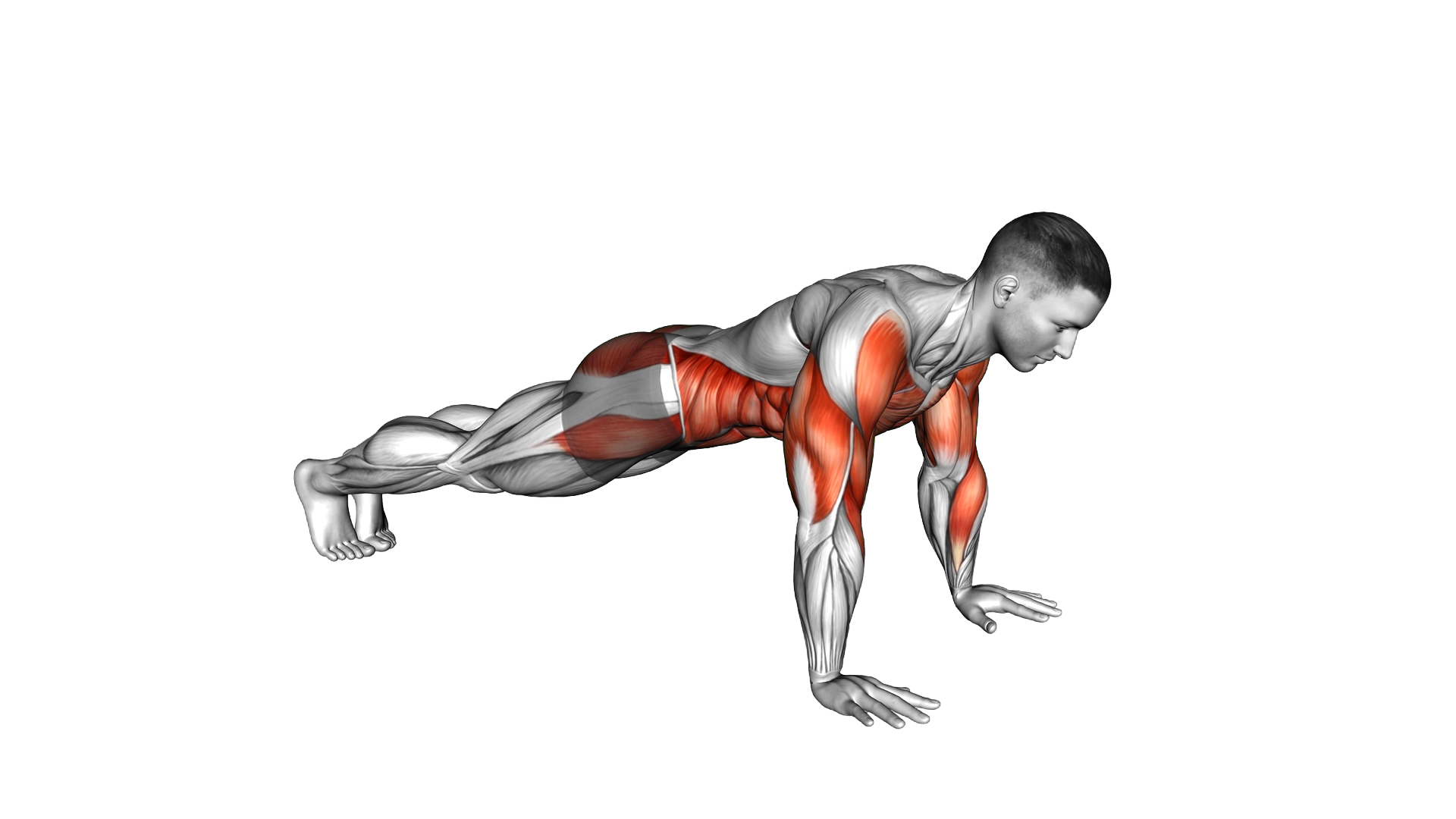 Shoulder Tap Jack Plank exercise demonstration