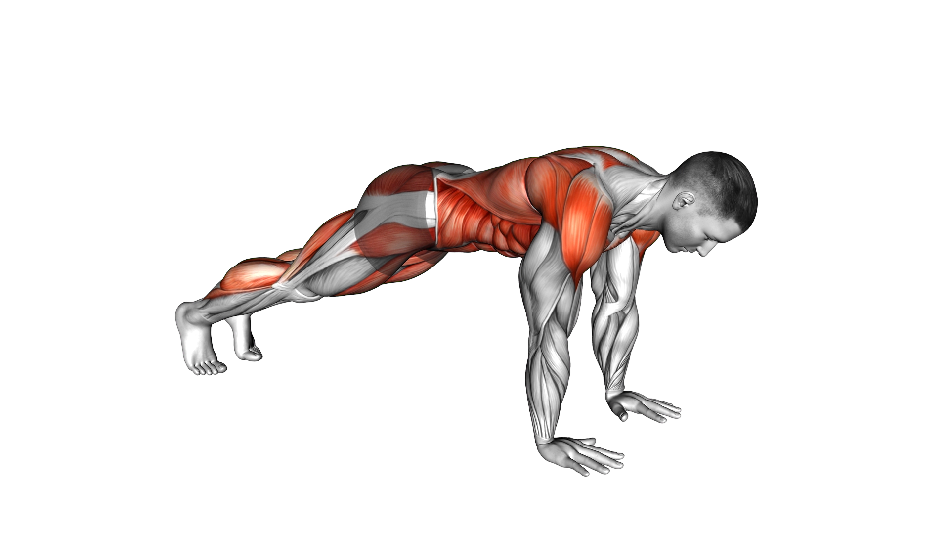 Mountain Climber Kickout exercise demonstration