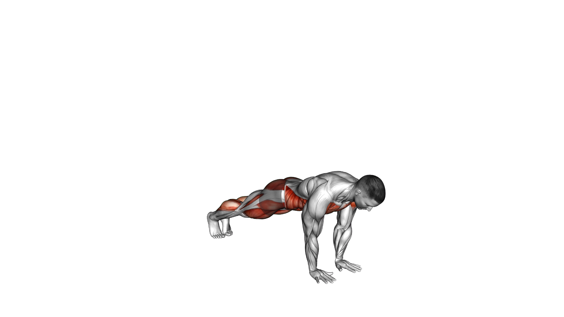 Plank Walk Squat exercise demonstration