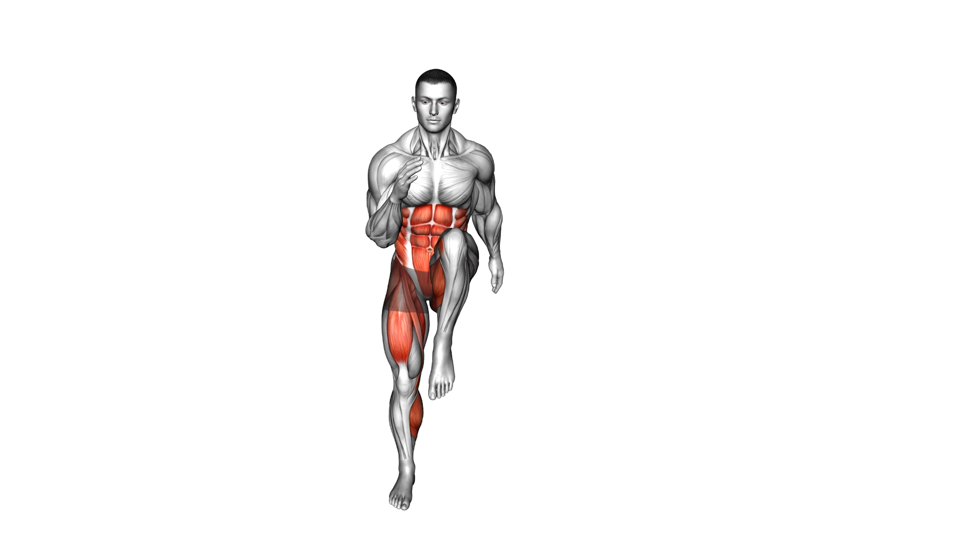 Side Shuffle High Knee exercise demonstration
