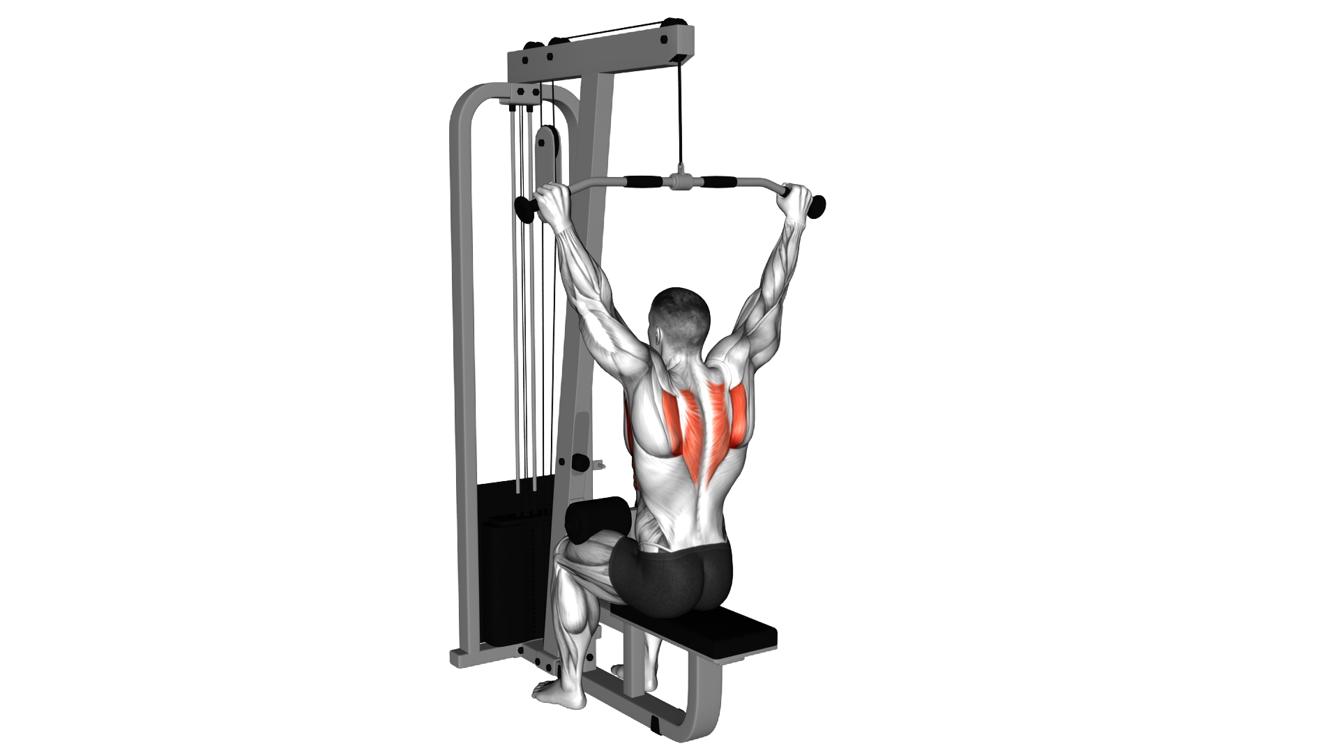 Cable Seated Reverse Shrug exercise demonstration