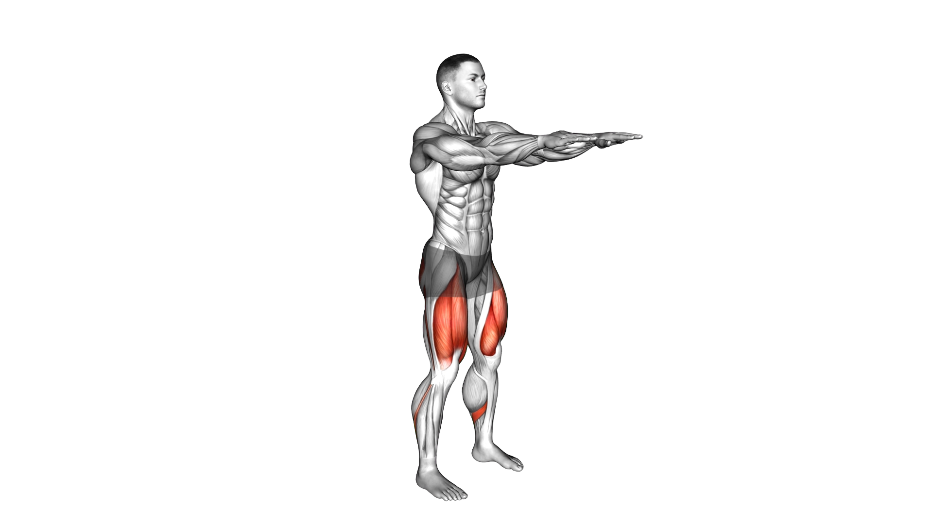 Bodyweight Half Squat exercise demonstration