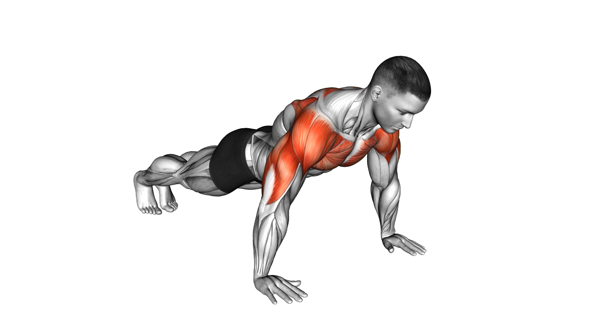 Negative Push up exercise demonstration