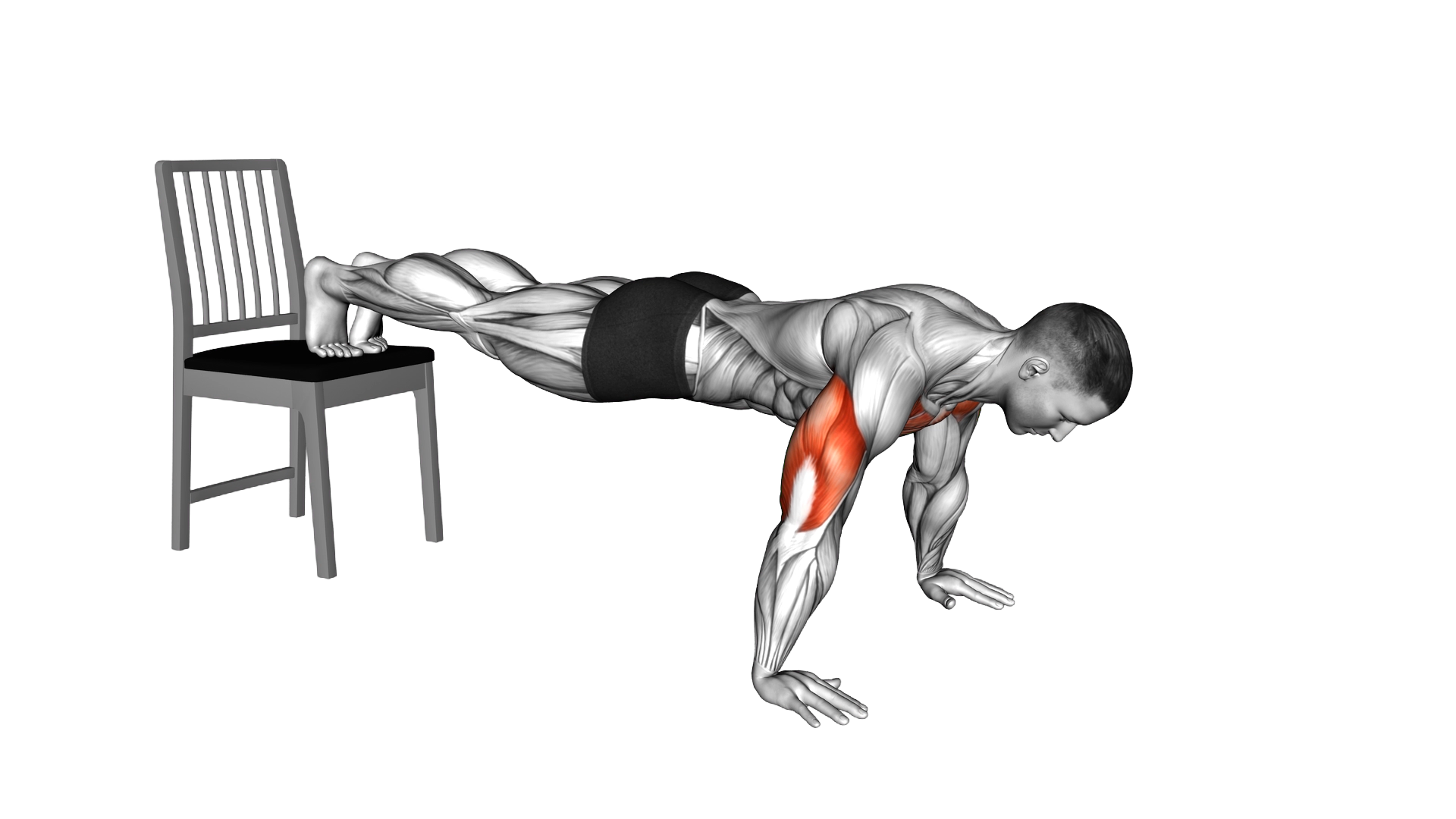Decline Push up with Chair exercise demonstration