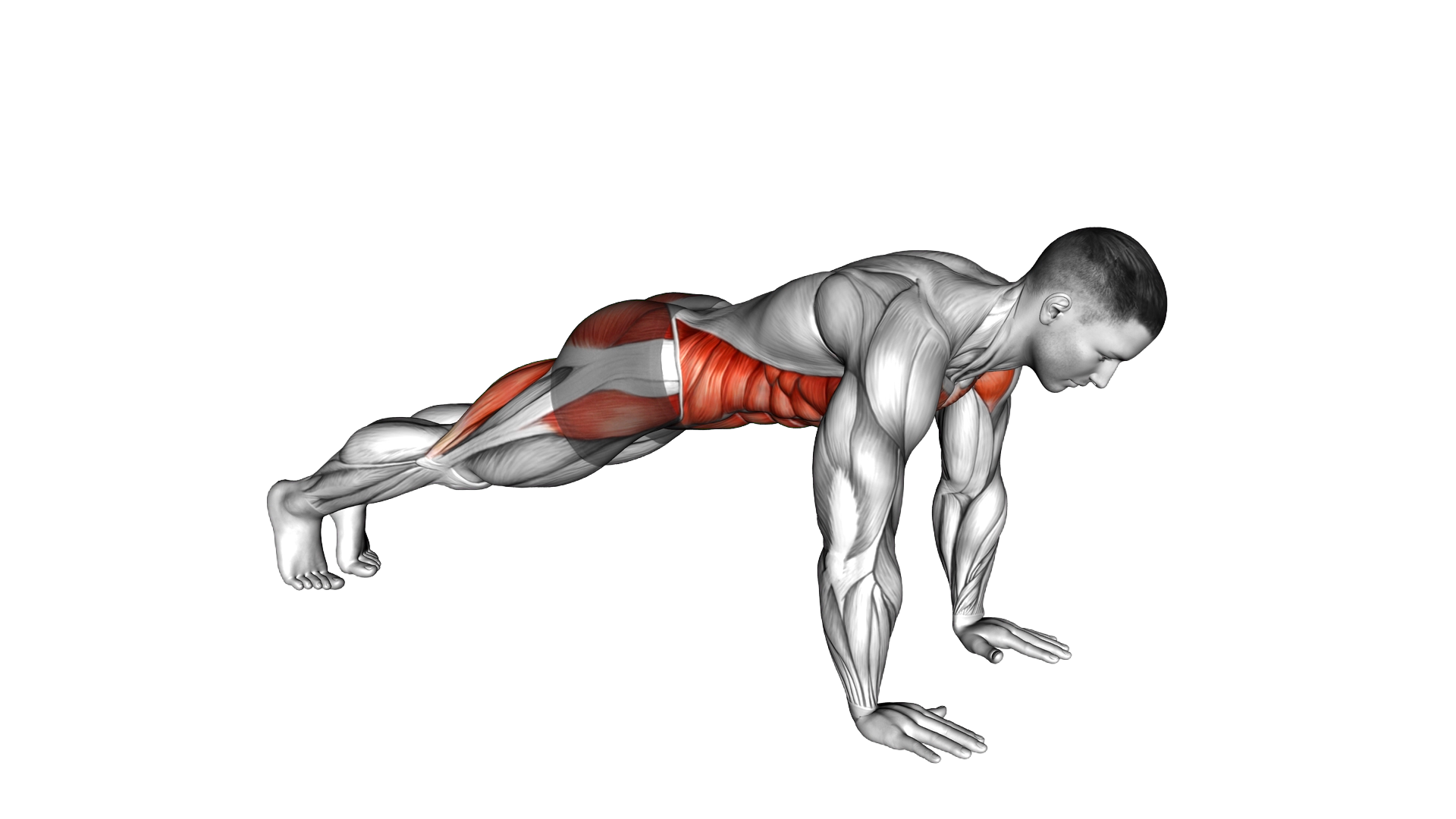 Protraction Plank Jack exercise demonstration