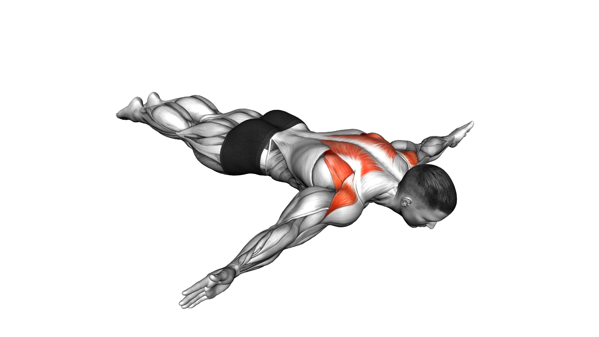 Floor T Raise exercise demonstration