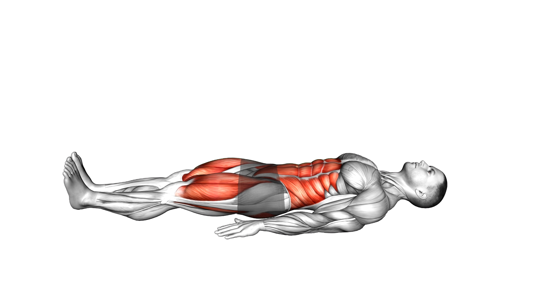 Lying Lower Back Knee to Chest exercise demonstration