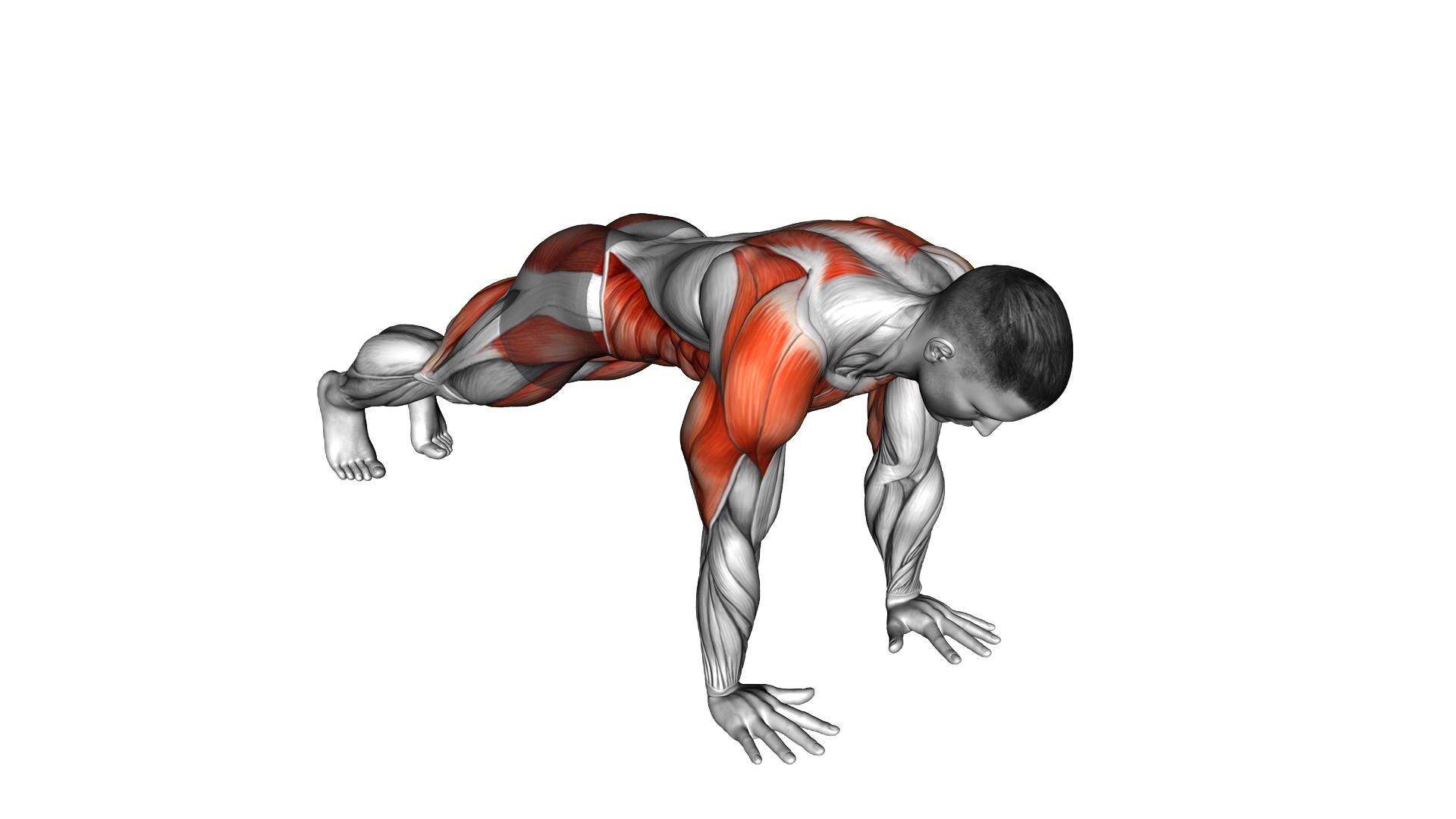 Planked Side Toe Tap exercise demonstration