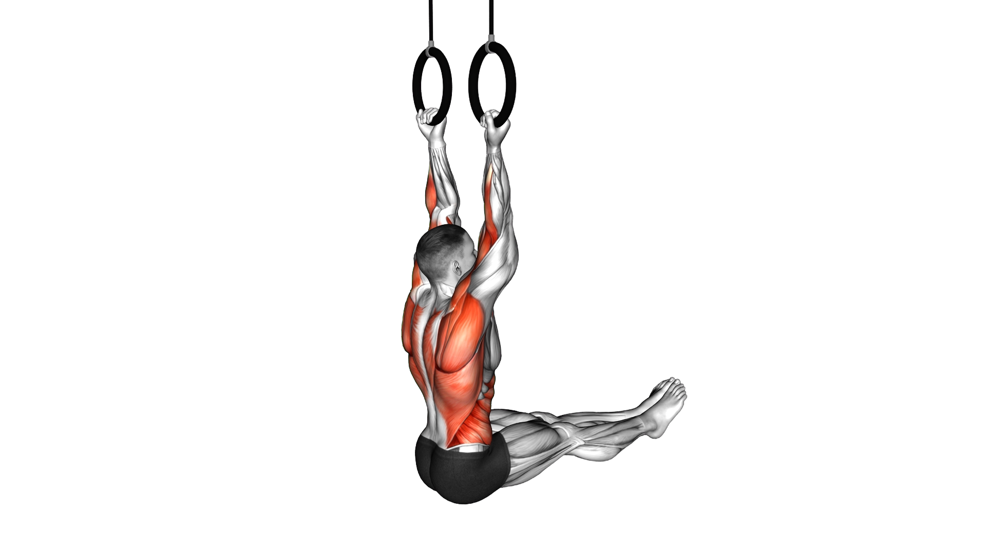 Ring L Sit Chin up exercise thumbnail
