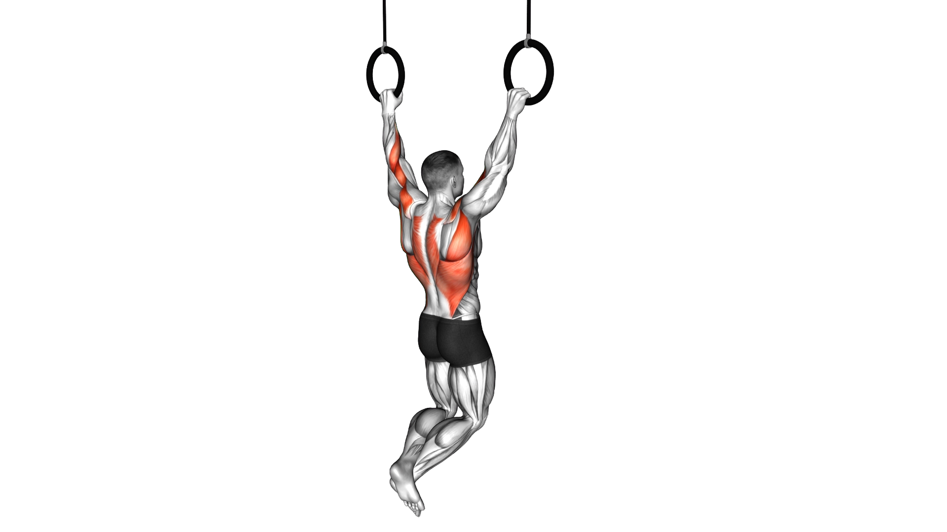 Ring Wide Pull up exercise demonstration