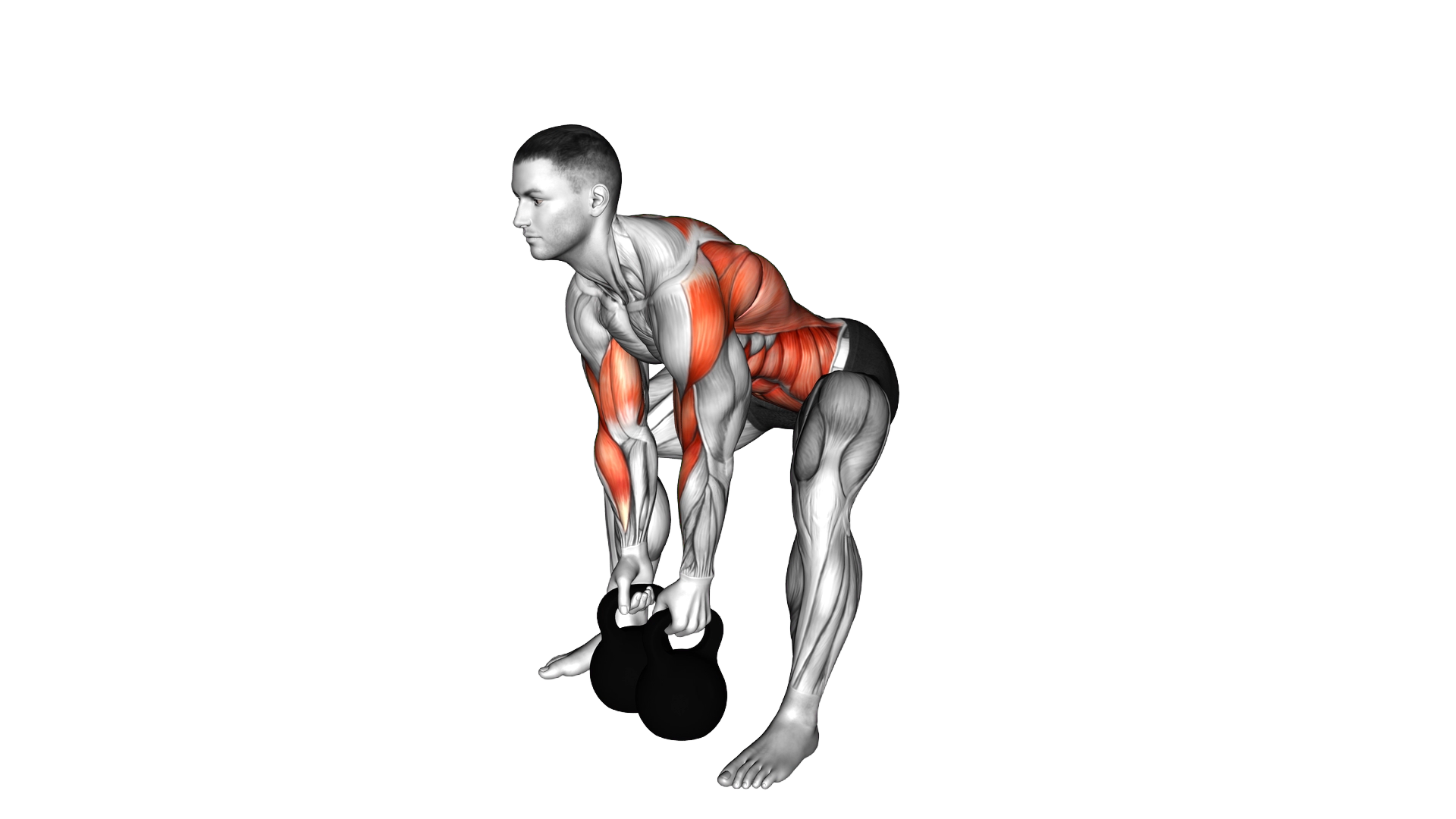 Kettlebell Gorilla Row exercise demonstration