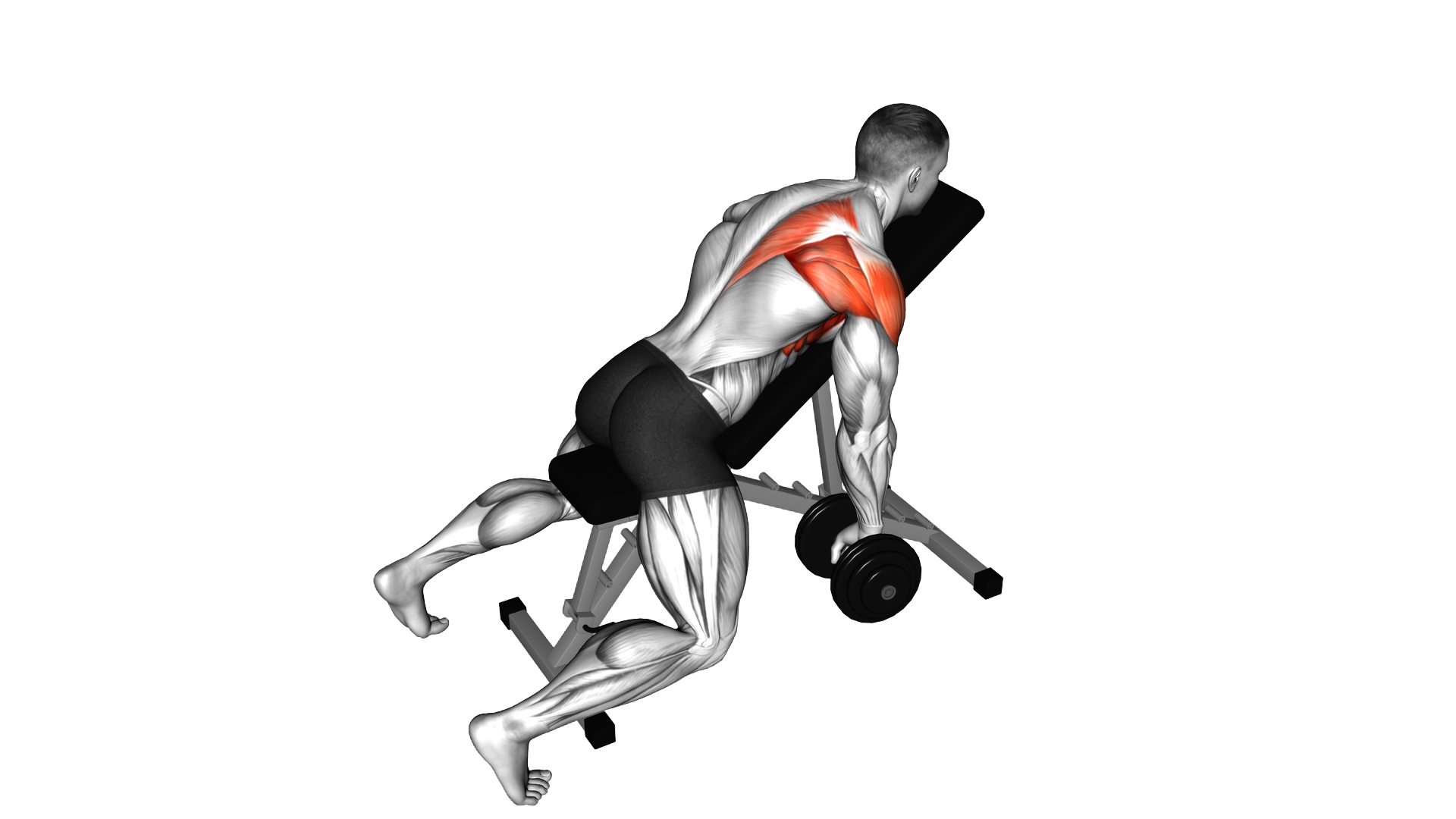 Dumbbell Incline Single Arm Y Raise exercise demonstration