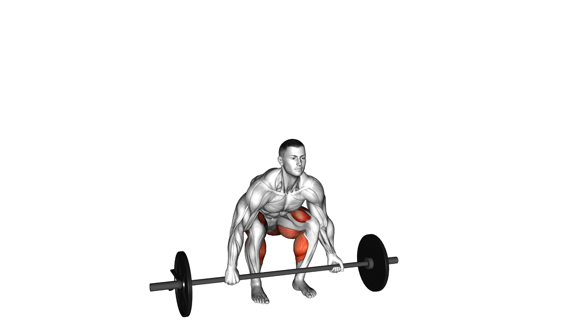 Barbell Mixed grip Deadlift exercise demonstration