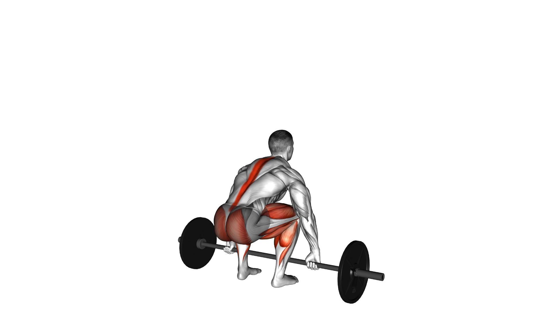 Barbell Hook grip Deadlift exercise demonstration