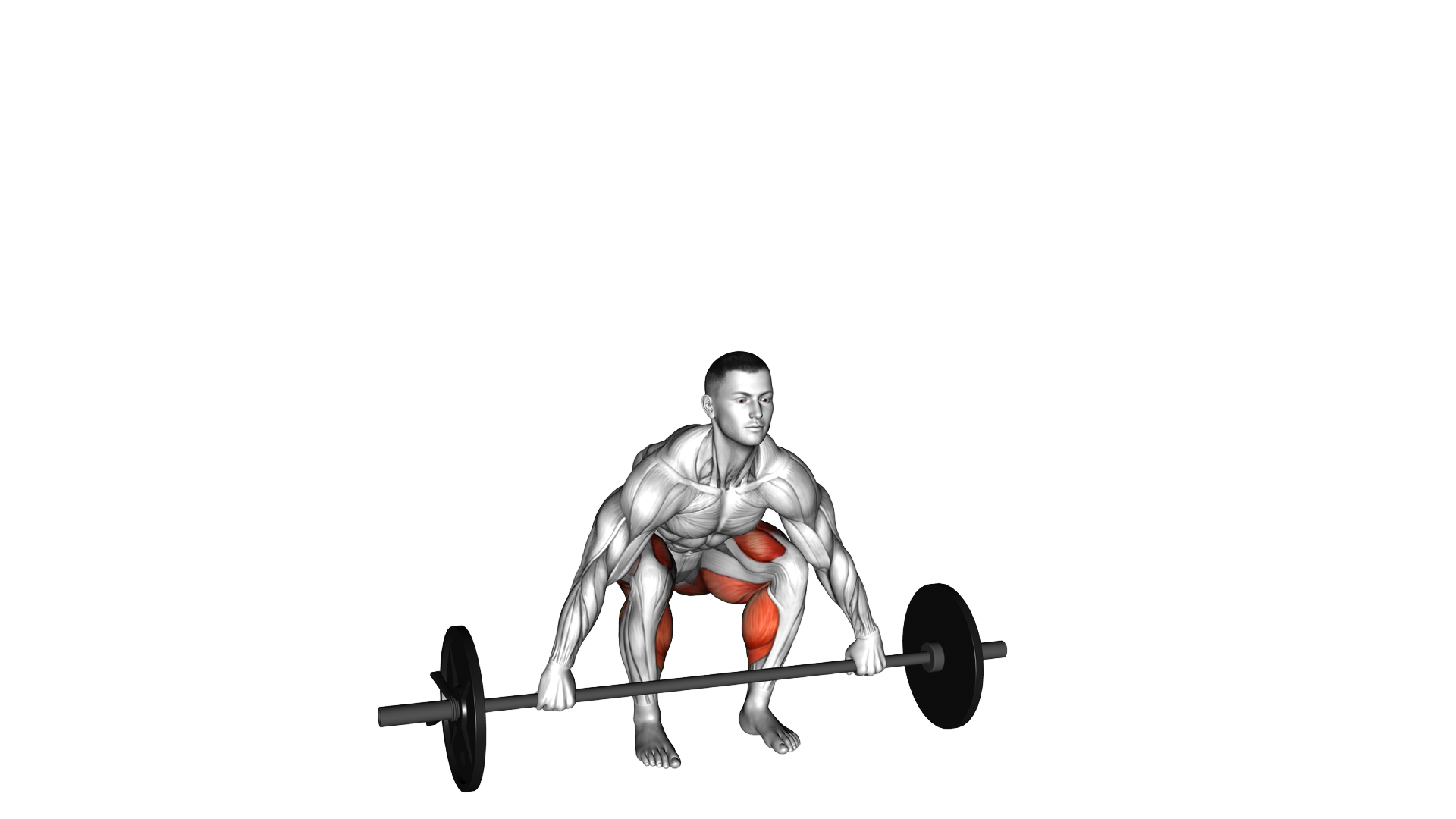 Barbell Snatch grip Deadlift exercise demonstration