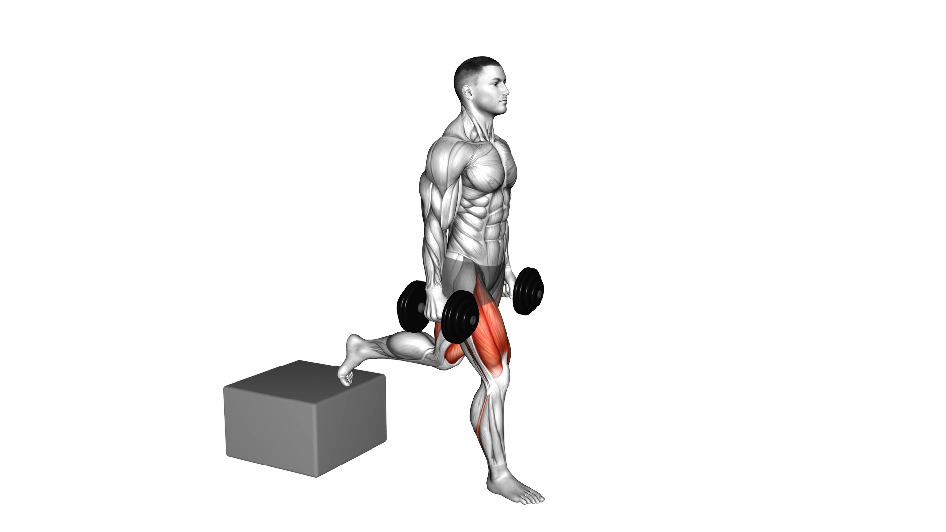 Dumbbell Single Leg Split Squat with Low Box exercise thumbnail