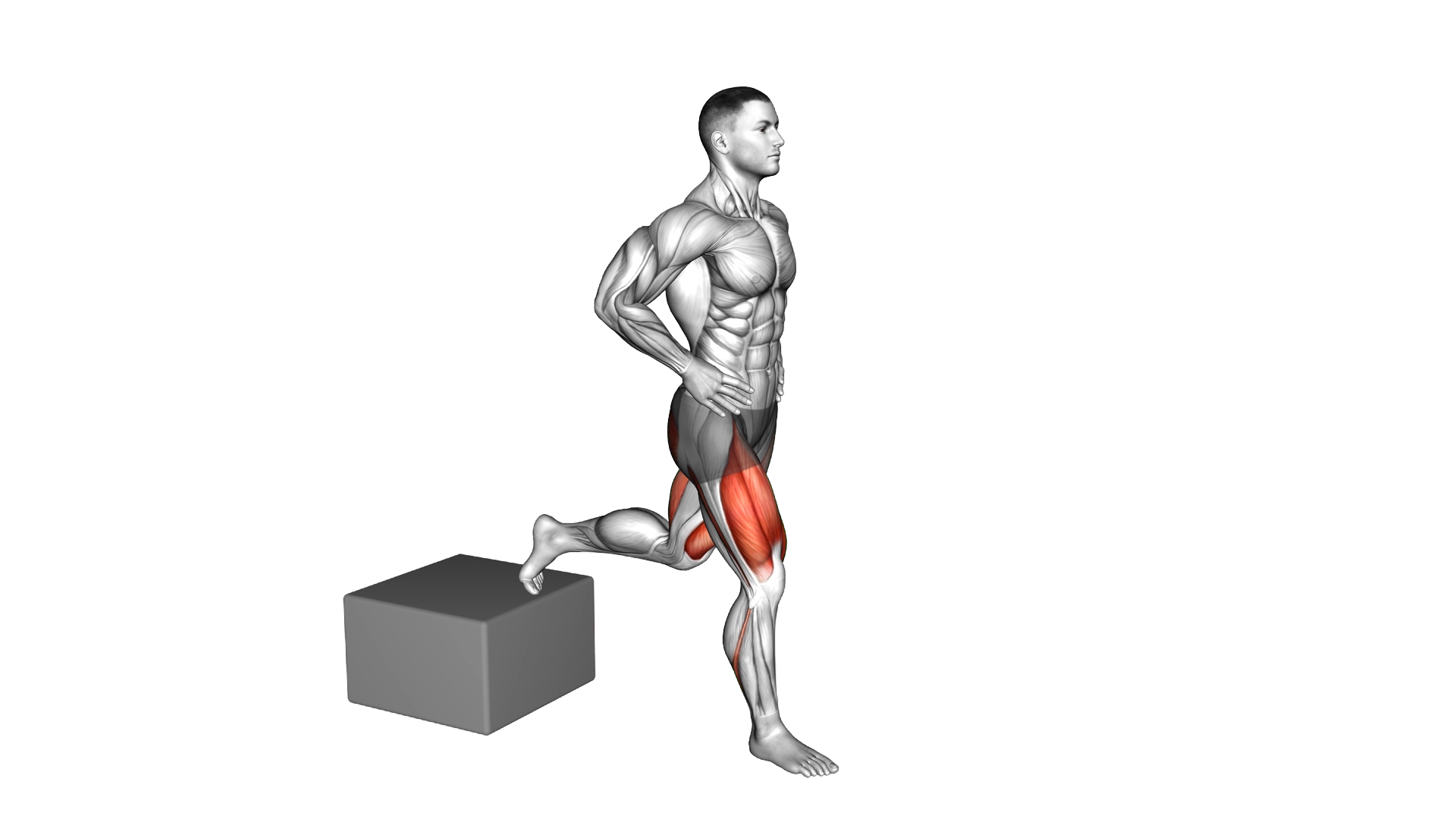Split Squat with Low Box exercise demonstration