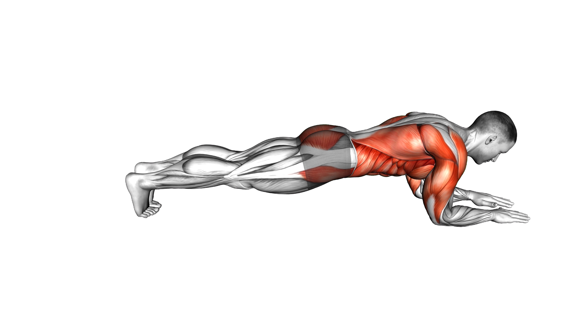 Back Steps Plank exercise demonstration
